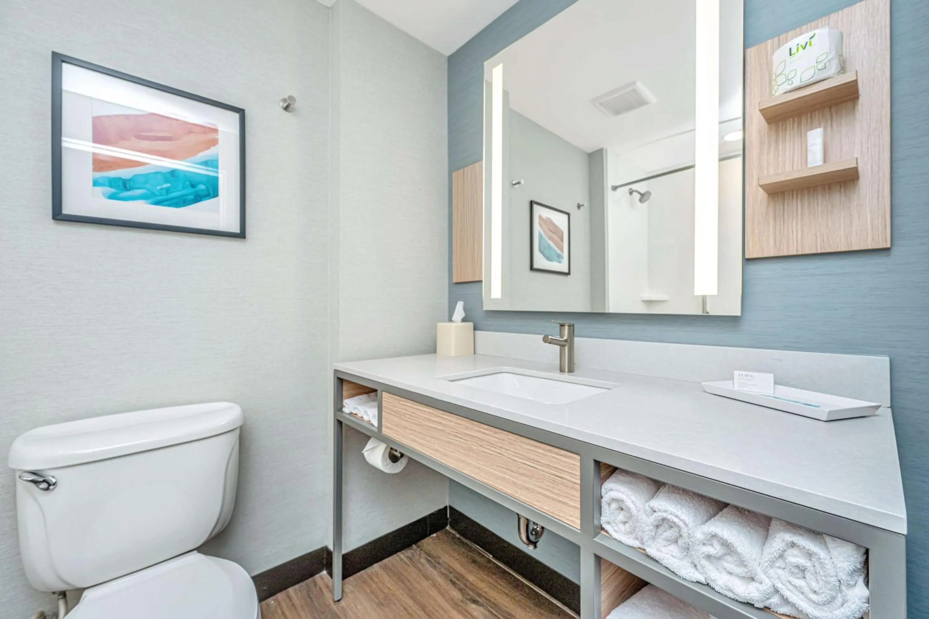 Bathroom in Hilton Garden Inn Charleston Airport