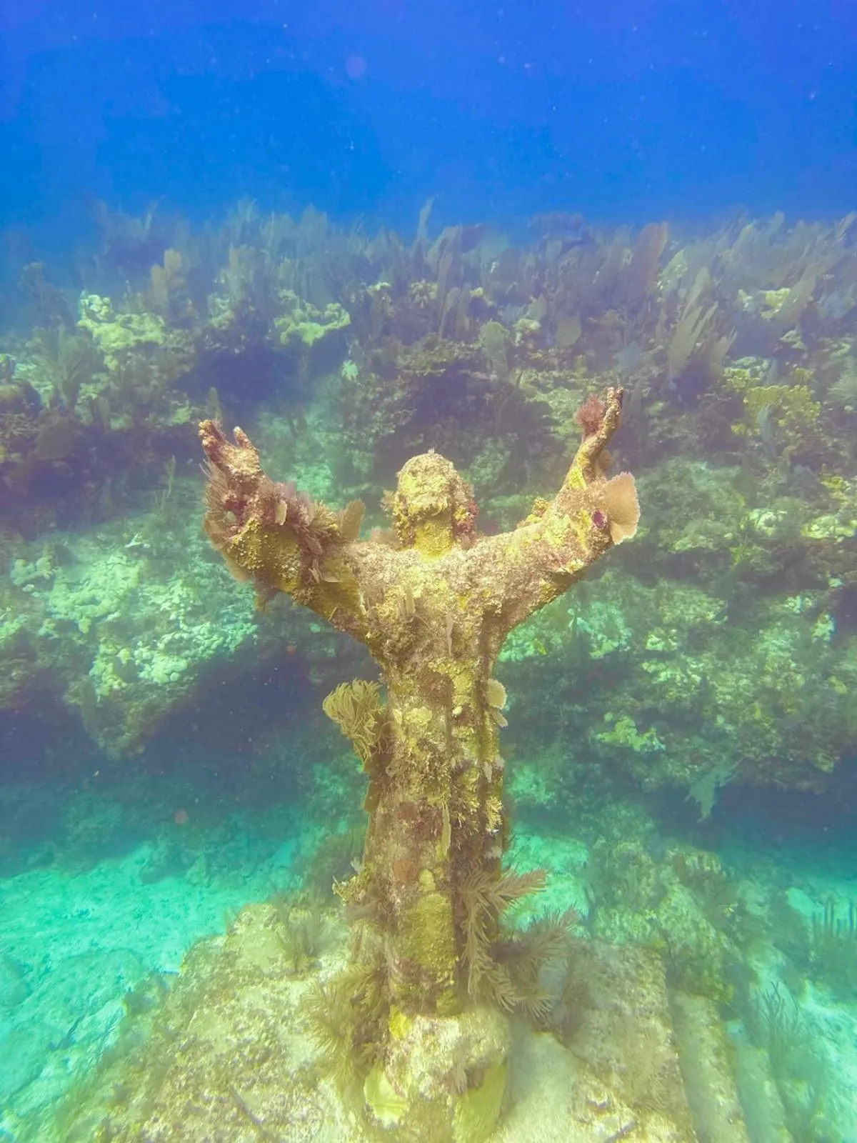 Snorkeling in Bayside Inn Key Largo
