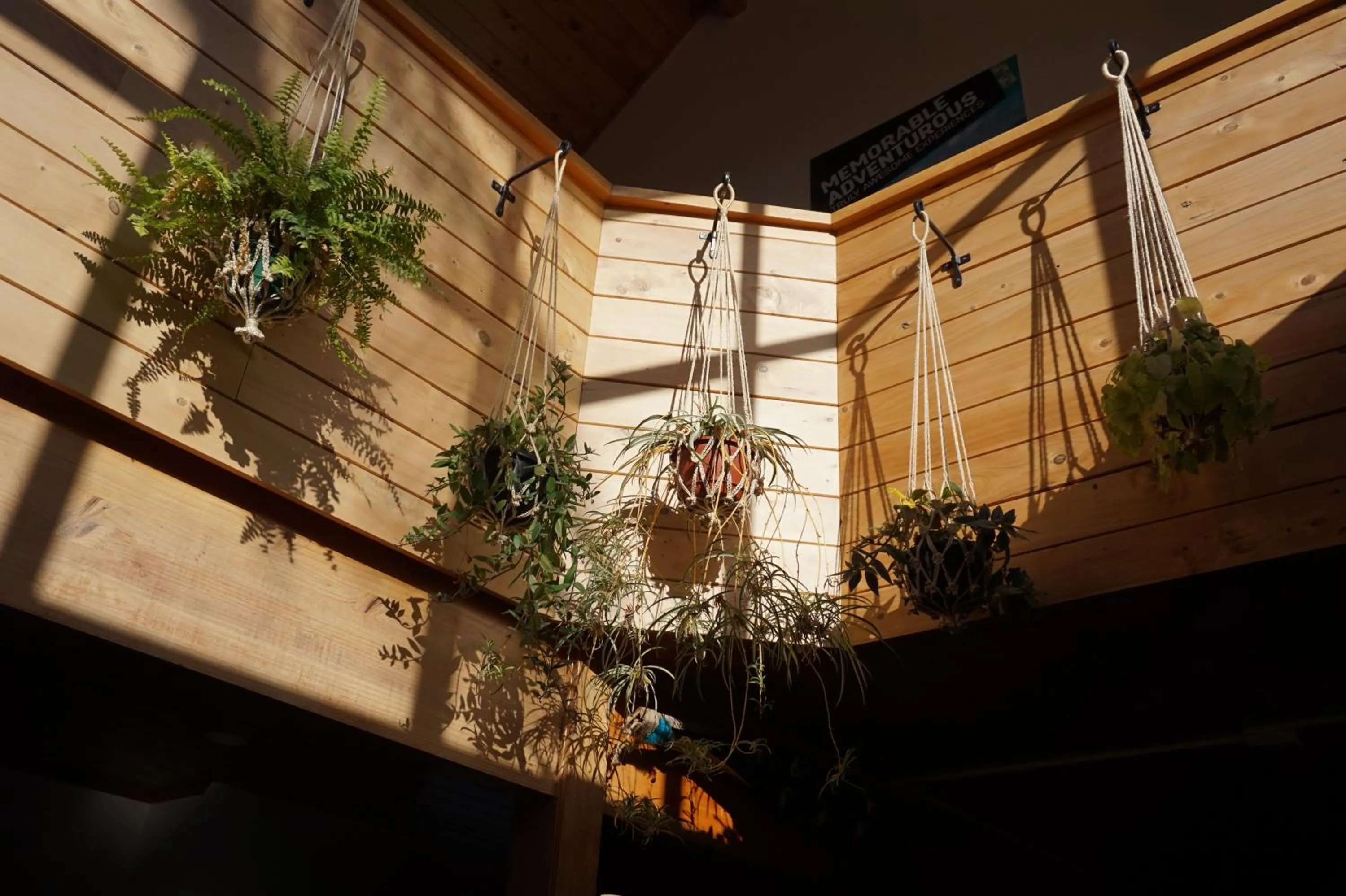 Facade/entrance in Peppertree Lodge