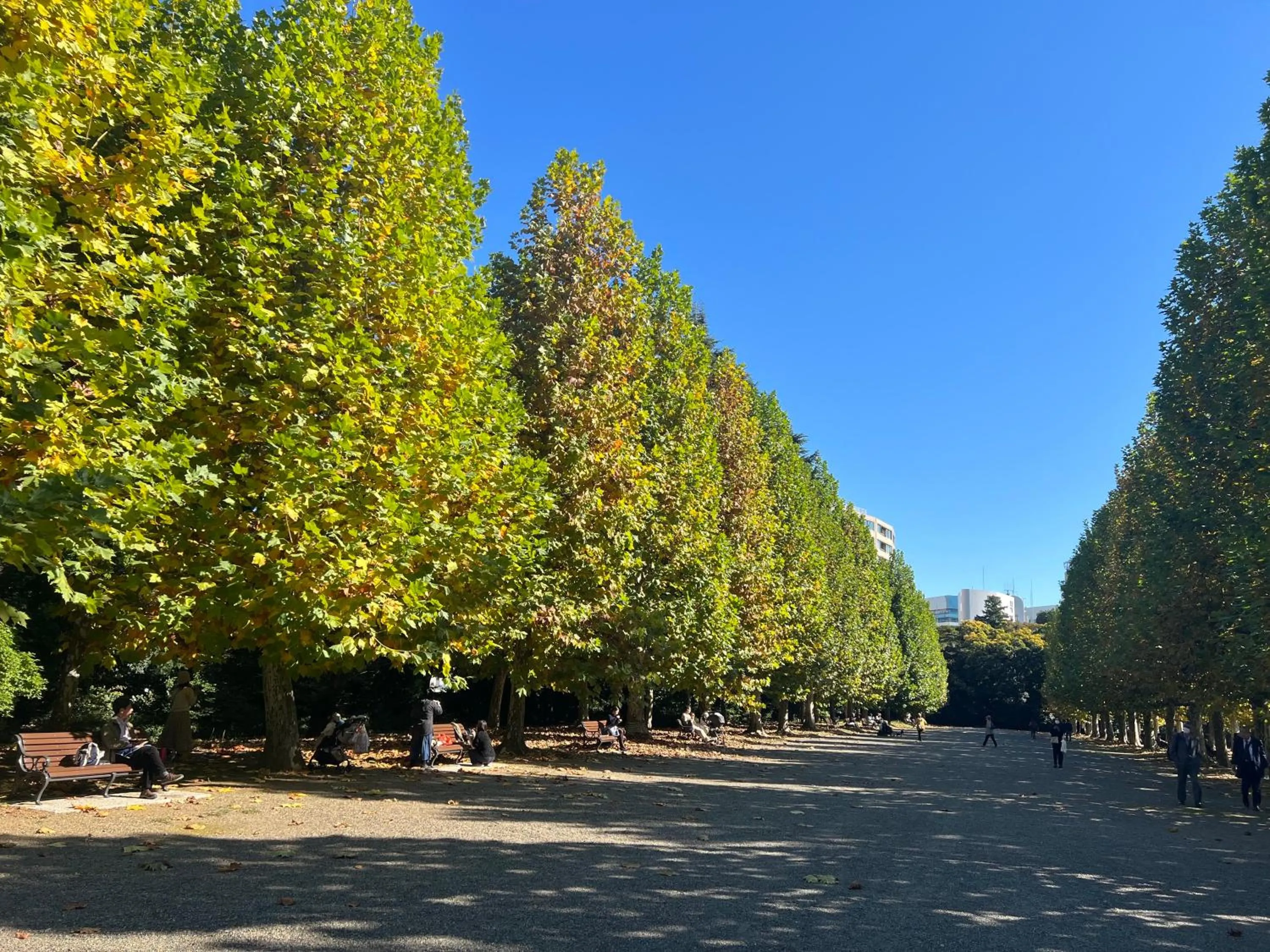 Off site in Hotel Resol Ikebukuro