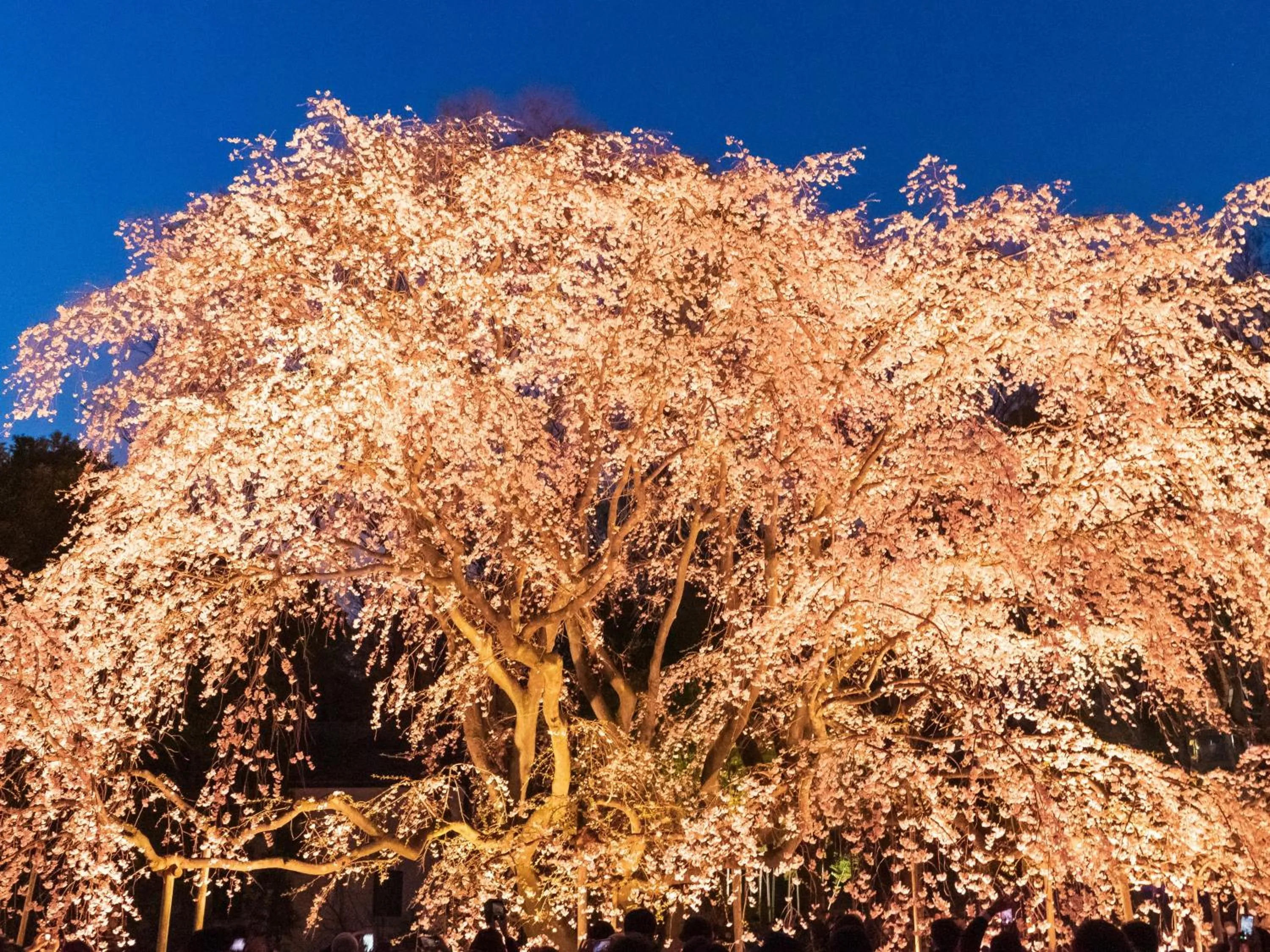 Off site in Hotel Resol Ikebukuro