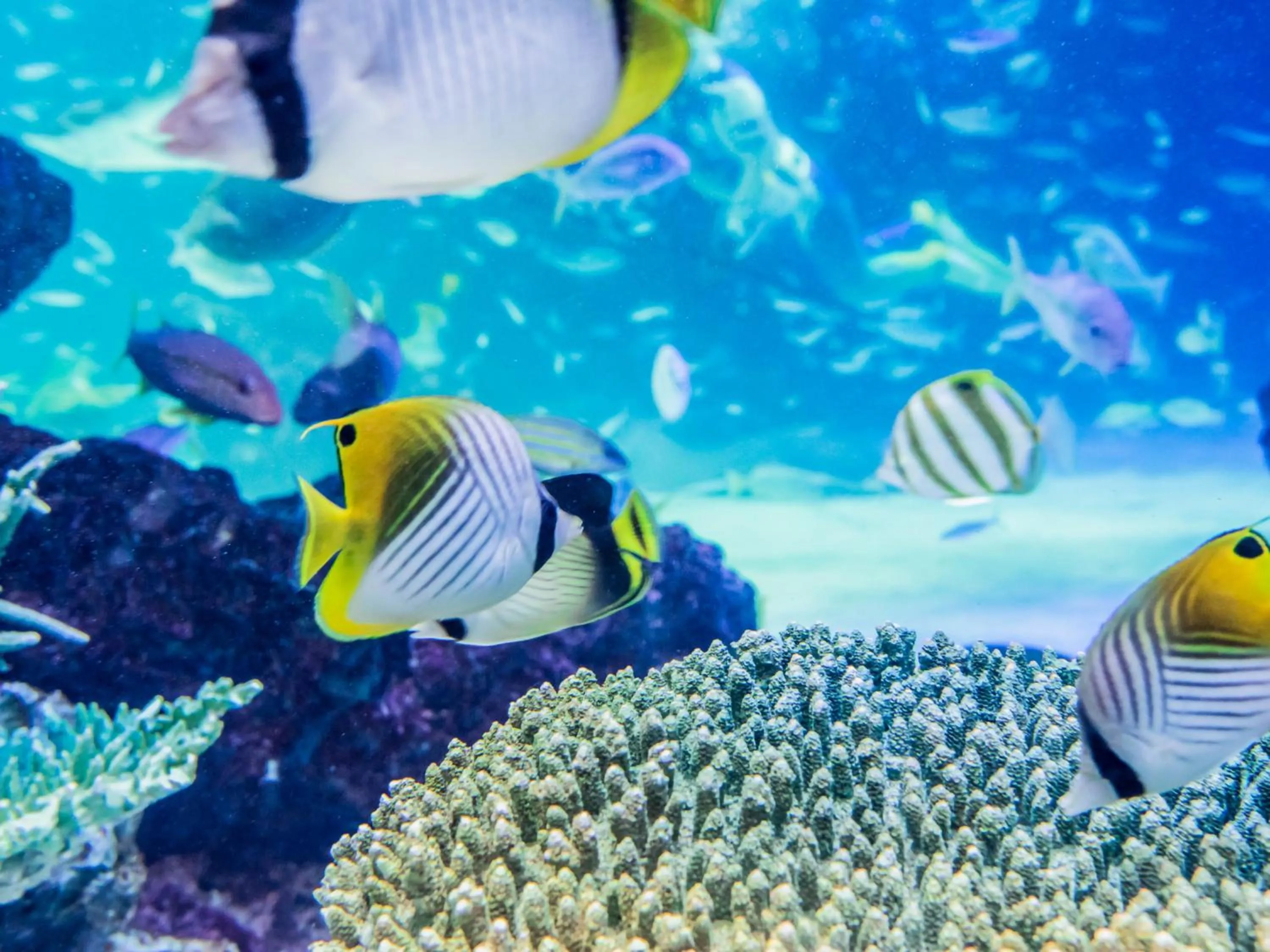 Off site in Hotel Resol Ikebukuro