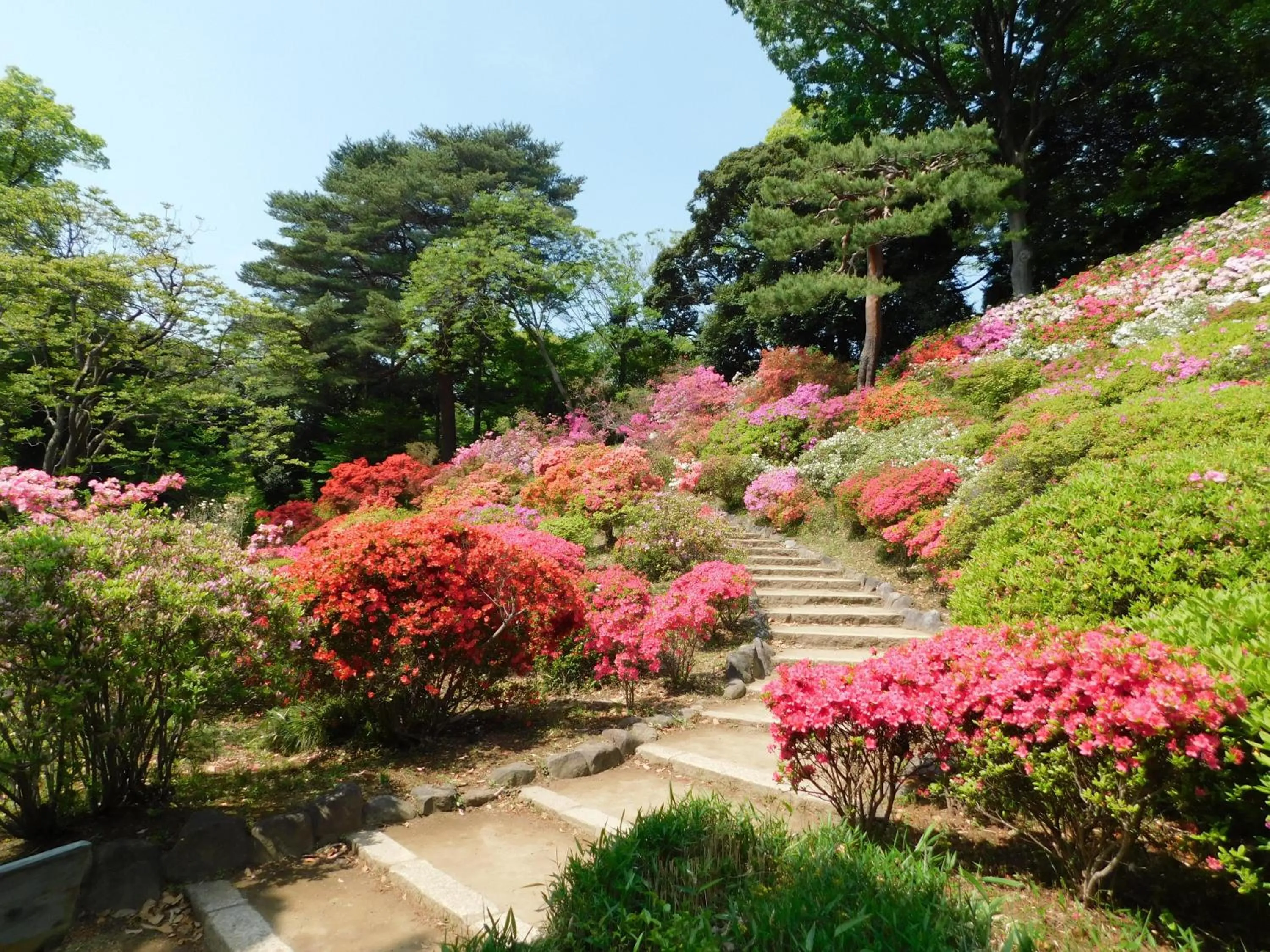 Off site in Hotel Resol Ikebukuro
