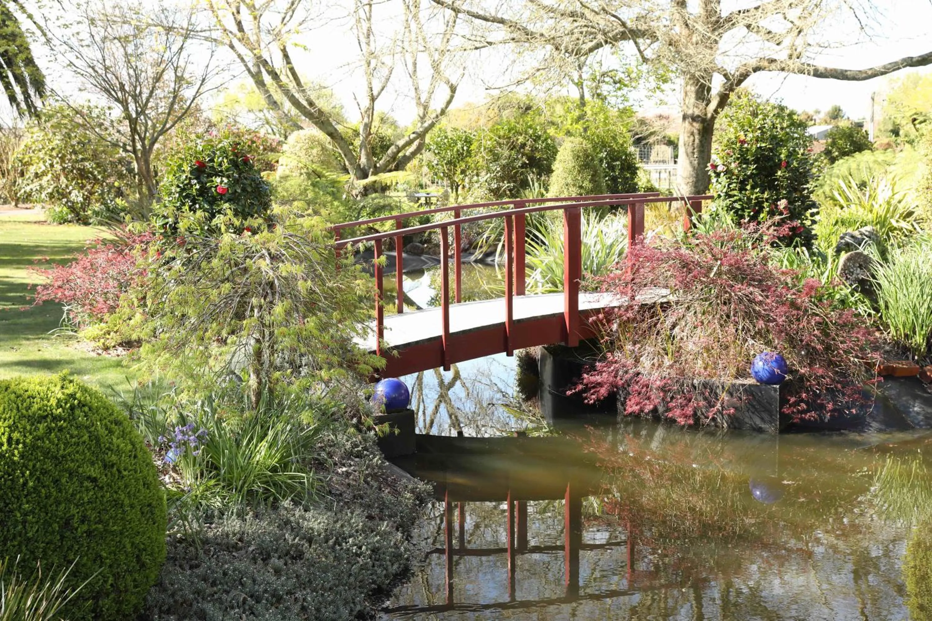 Garden in Somersal Bed & Breakfast