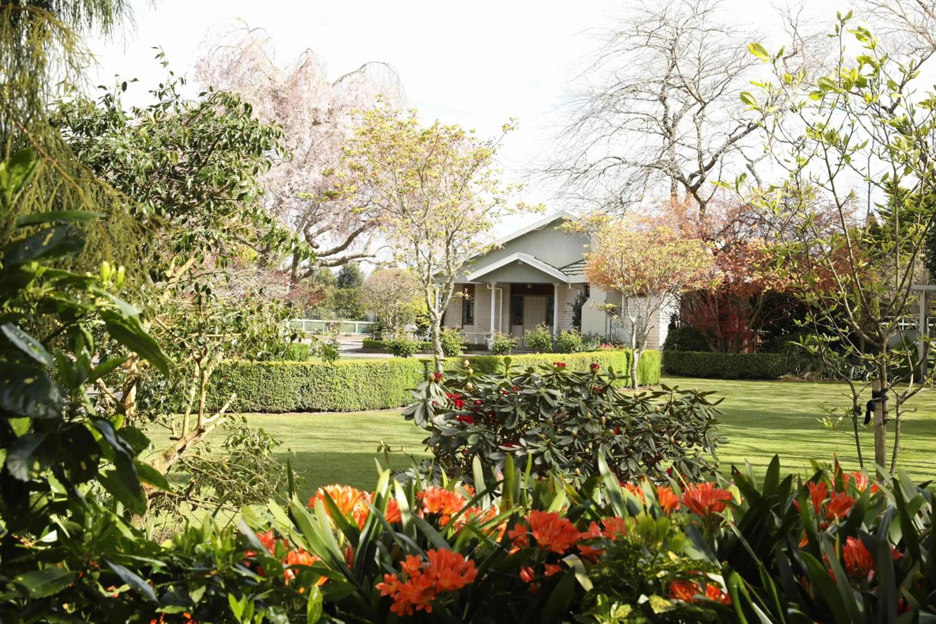 Garden in Somersal Bed & Breakfast