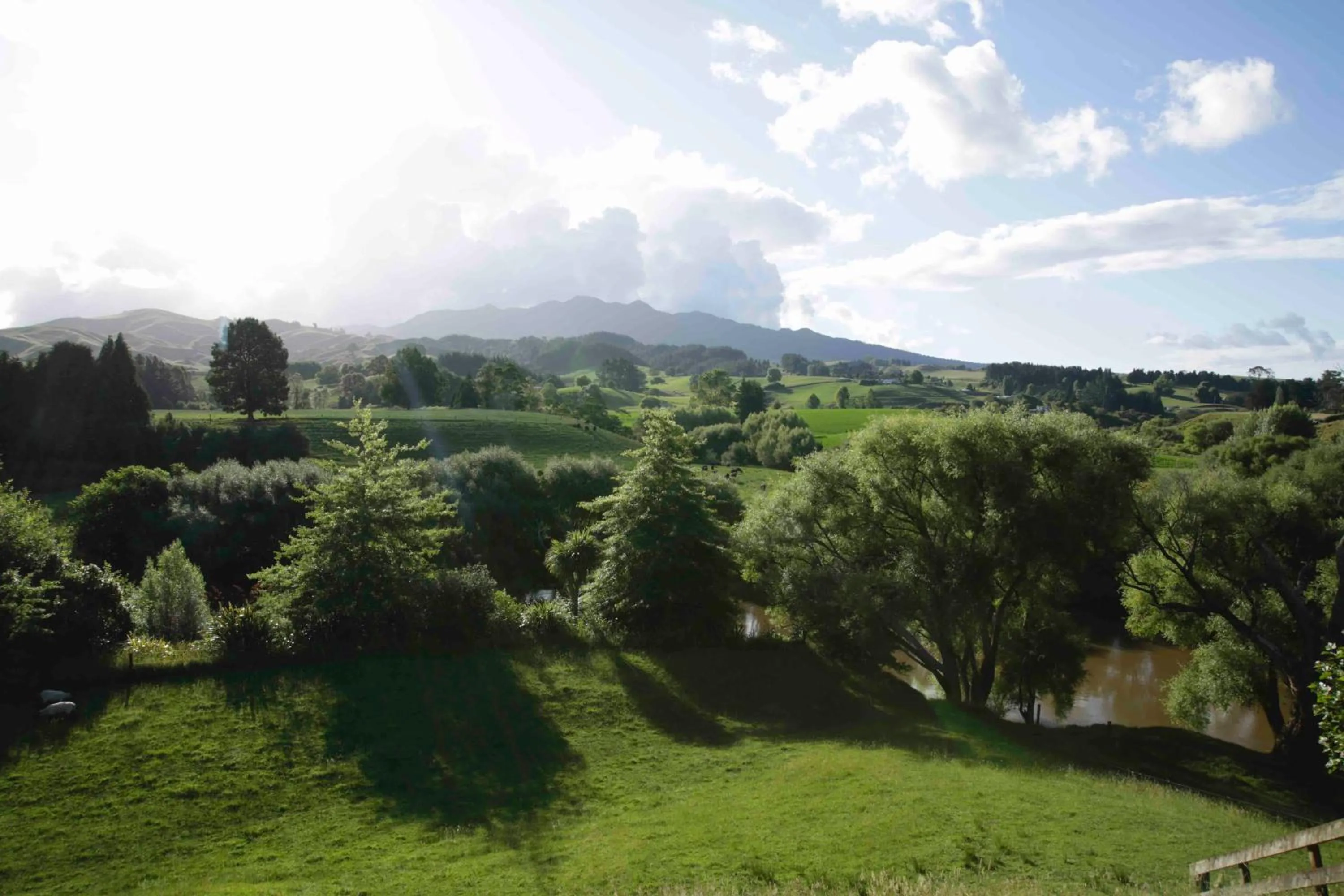 Natural landscape in Somersal Bed & Breakfast