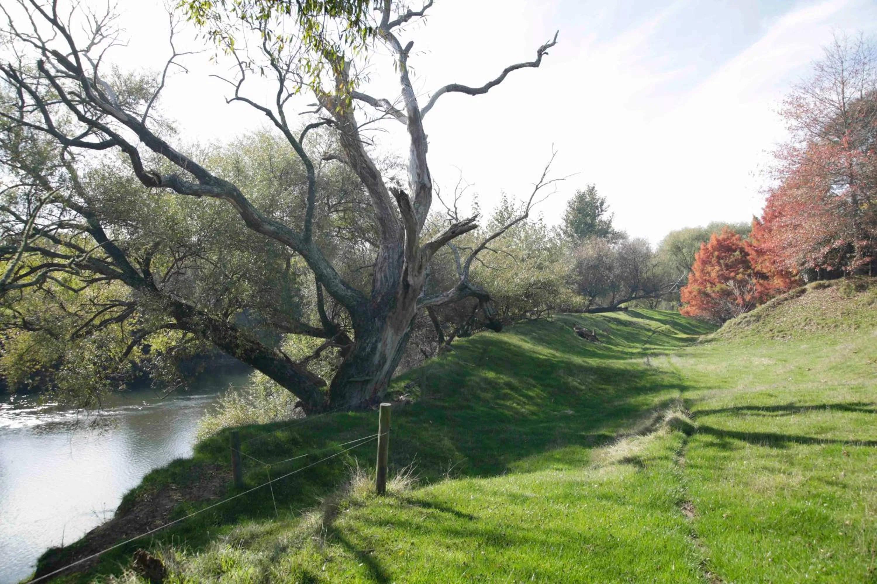 Natural landscape in Somersal Bed & Breakfast