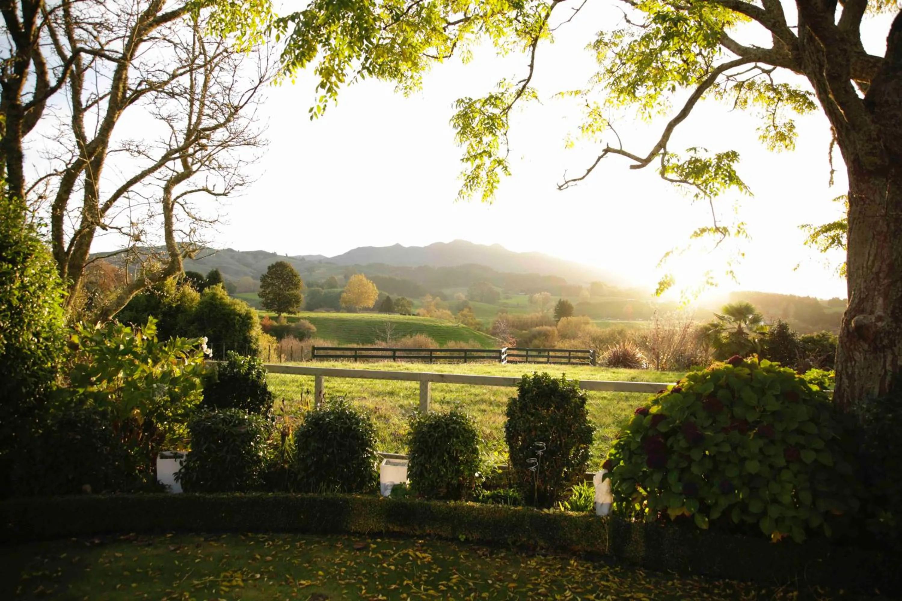 Natural landscape in Somersal Bed & Breakfast