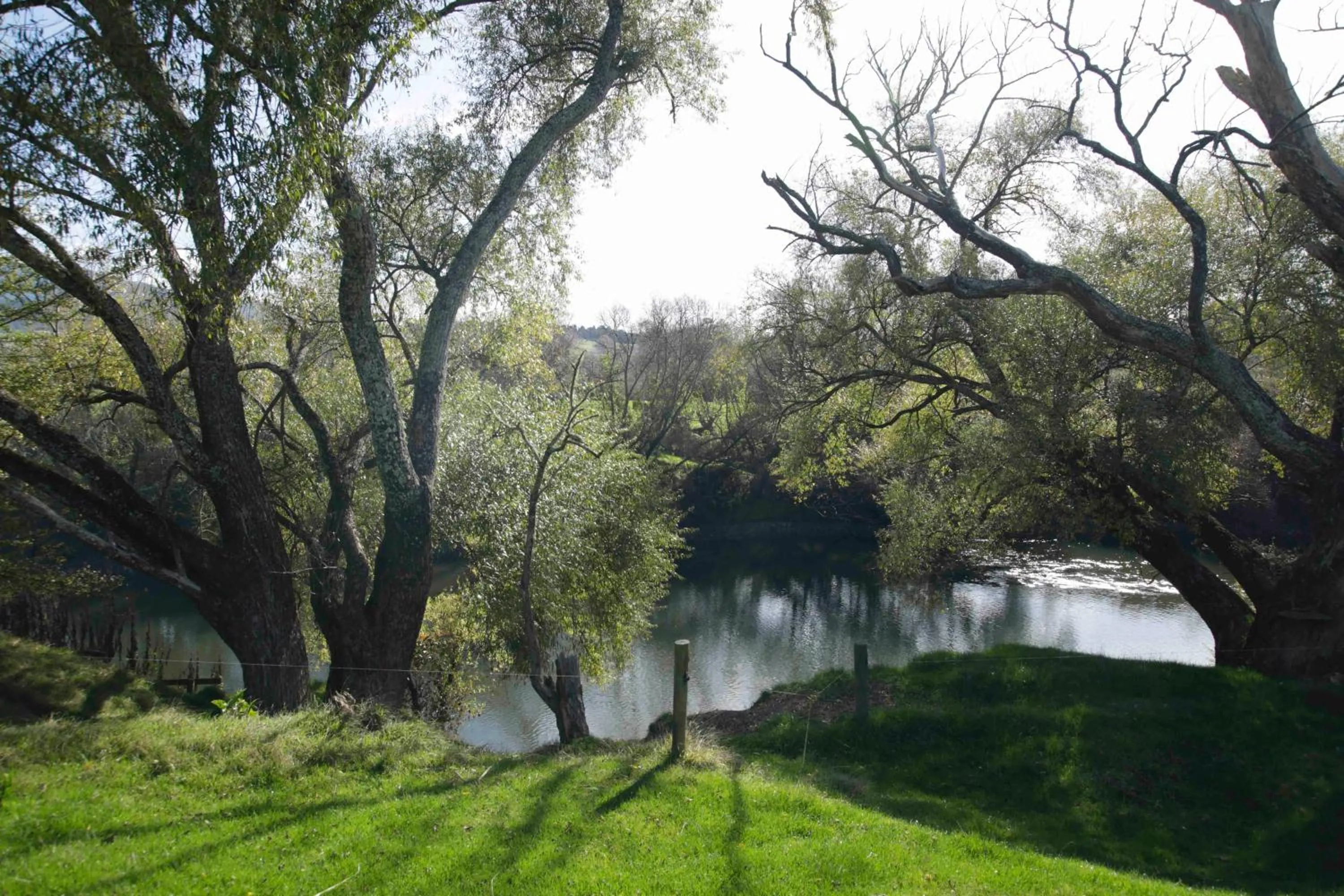 Natural landscape in Somersal Bed & Breakfast