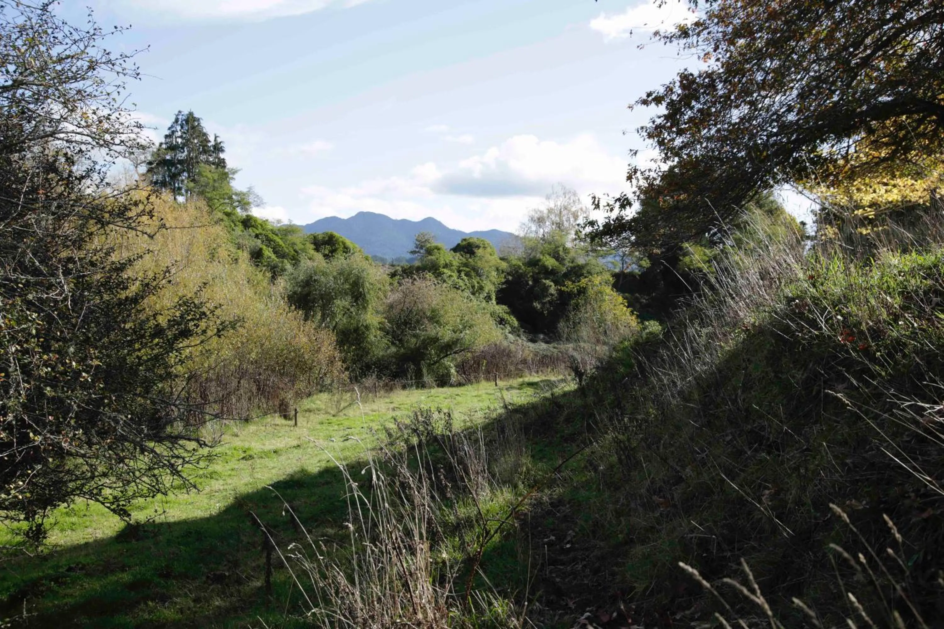 Natural landscape in Somersal Bed & Breakfast