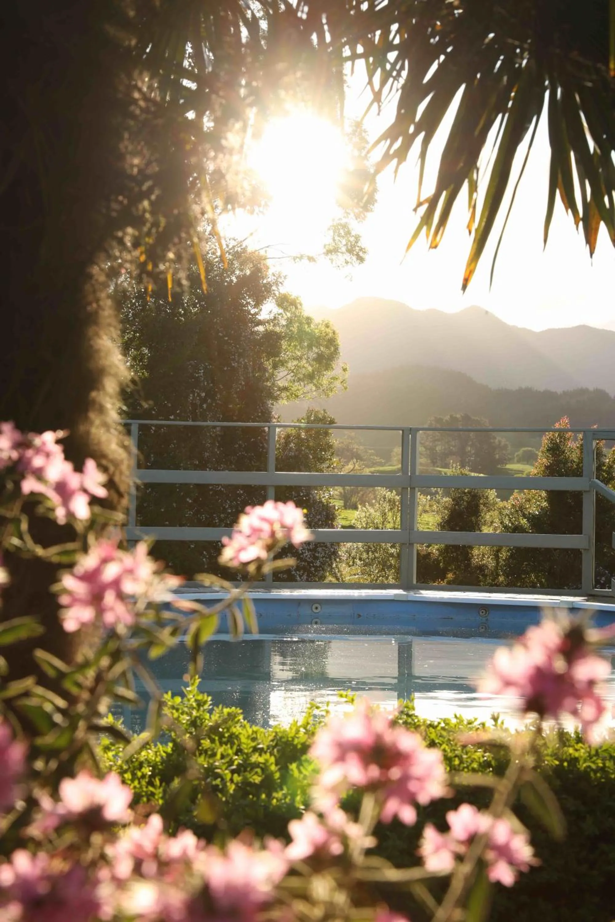 Pool view in Somersal Bed & Breakfast