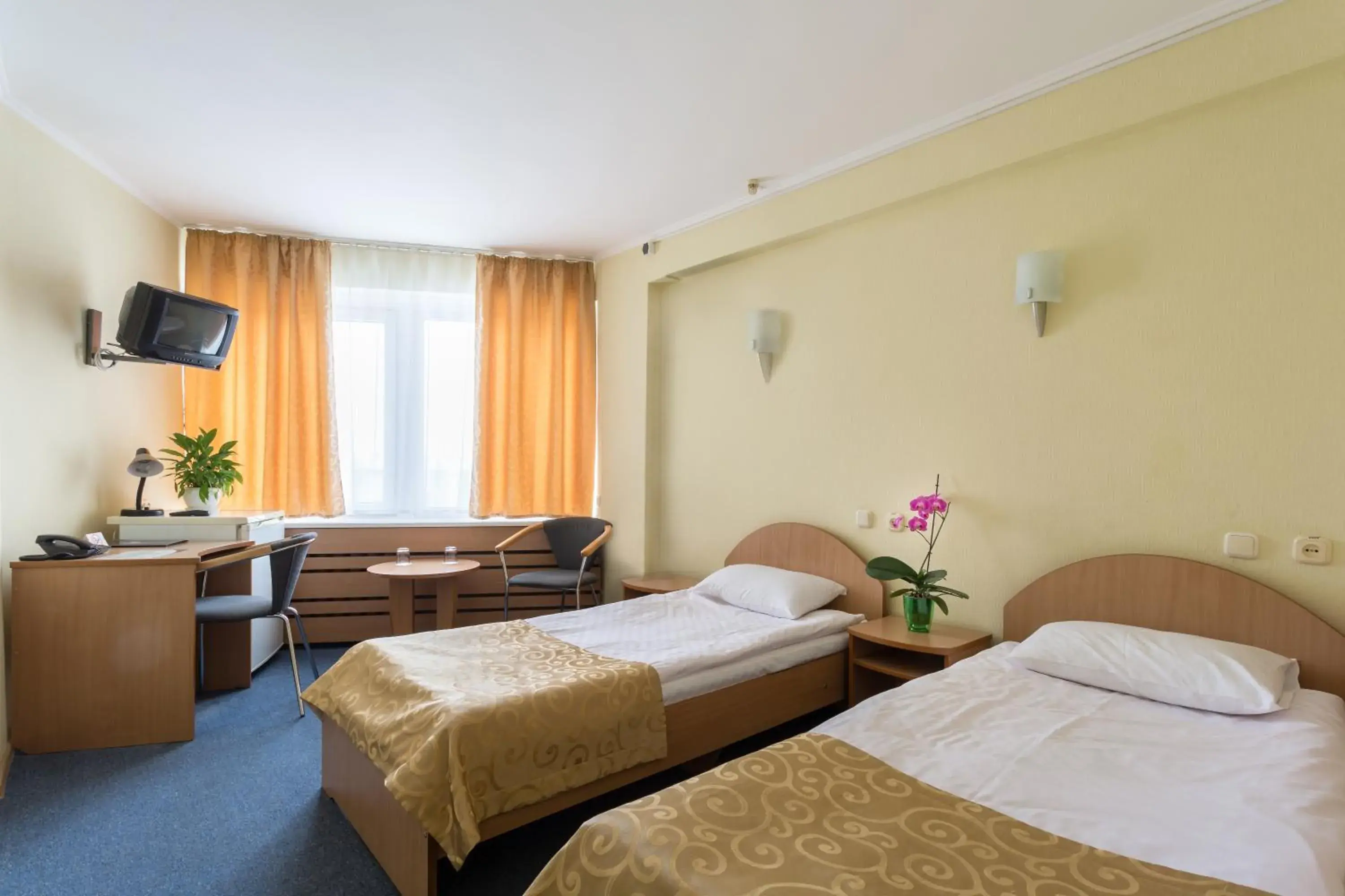 Economy Twin Room in Tourist Hotel Complex Economy Twin Room in Tourist Hotel Complex