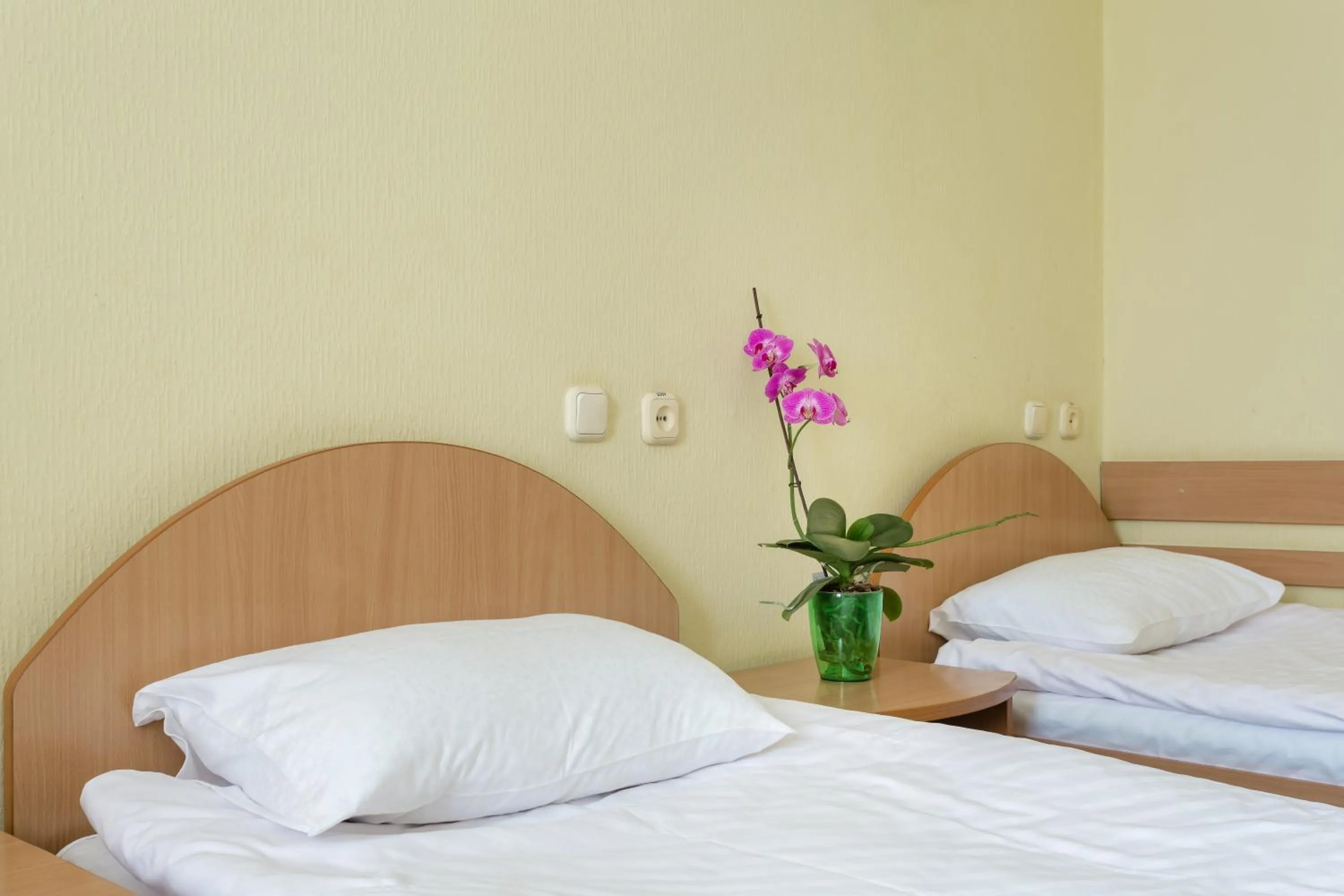 Bed in Tourist Hotel Complex