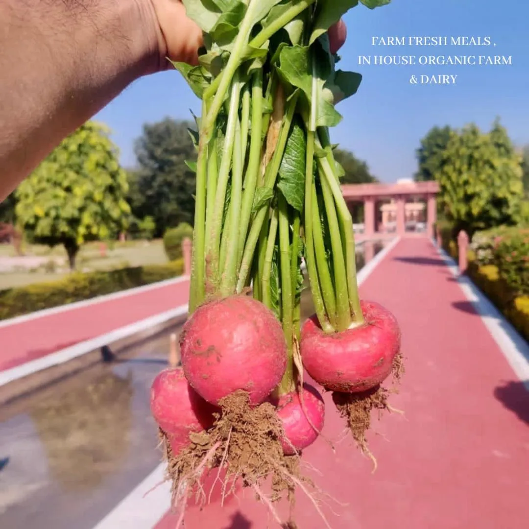 Umaid Palace - A Lakeside Resort - 25 minutes from Mehandipur Balaji - 20 minutes from Chand Baori Stepwell Abhaneri & 40 minutes from Bhangarh Fort