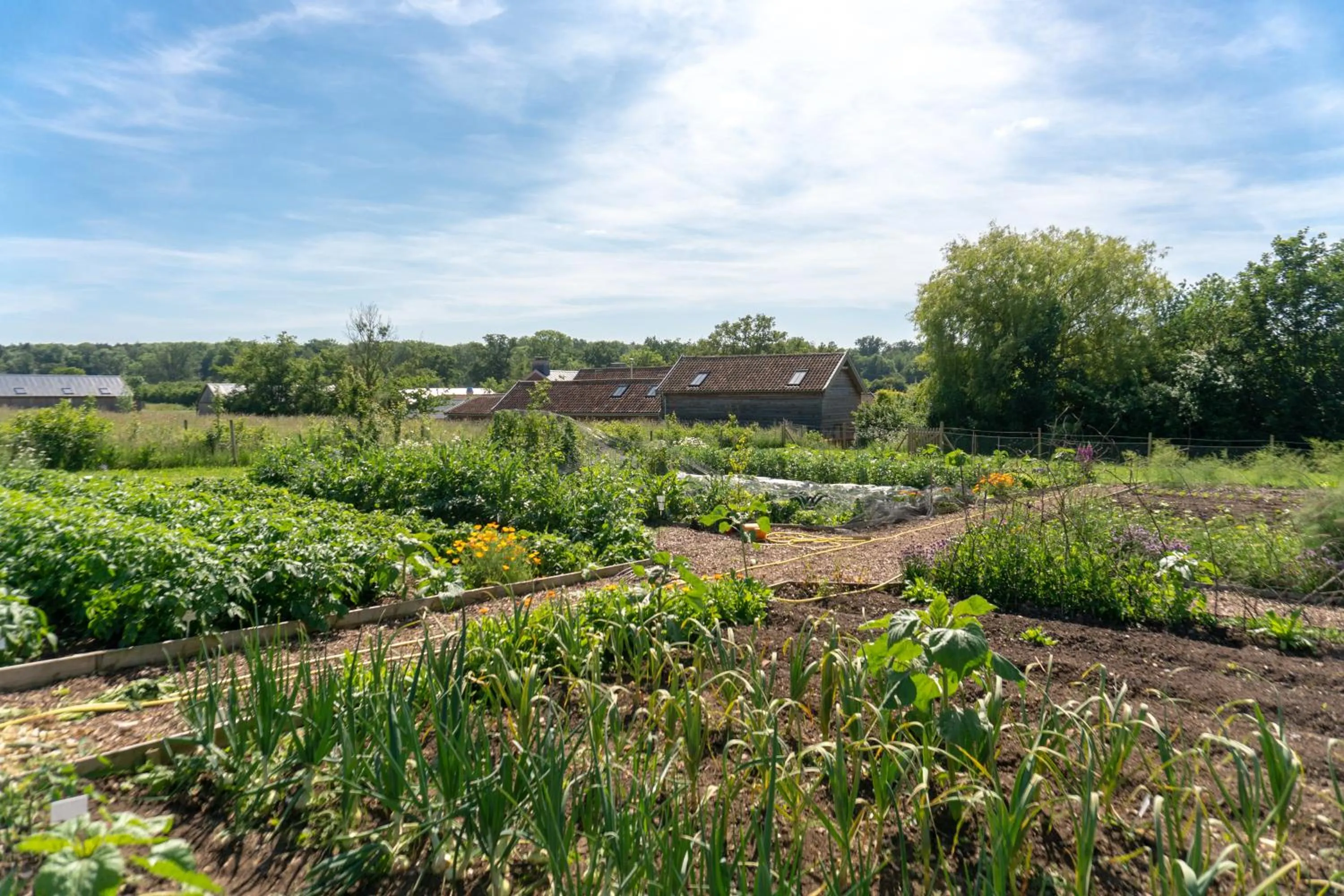 Natural landscape in Retreat East