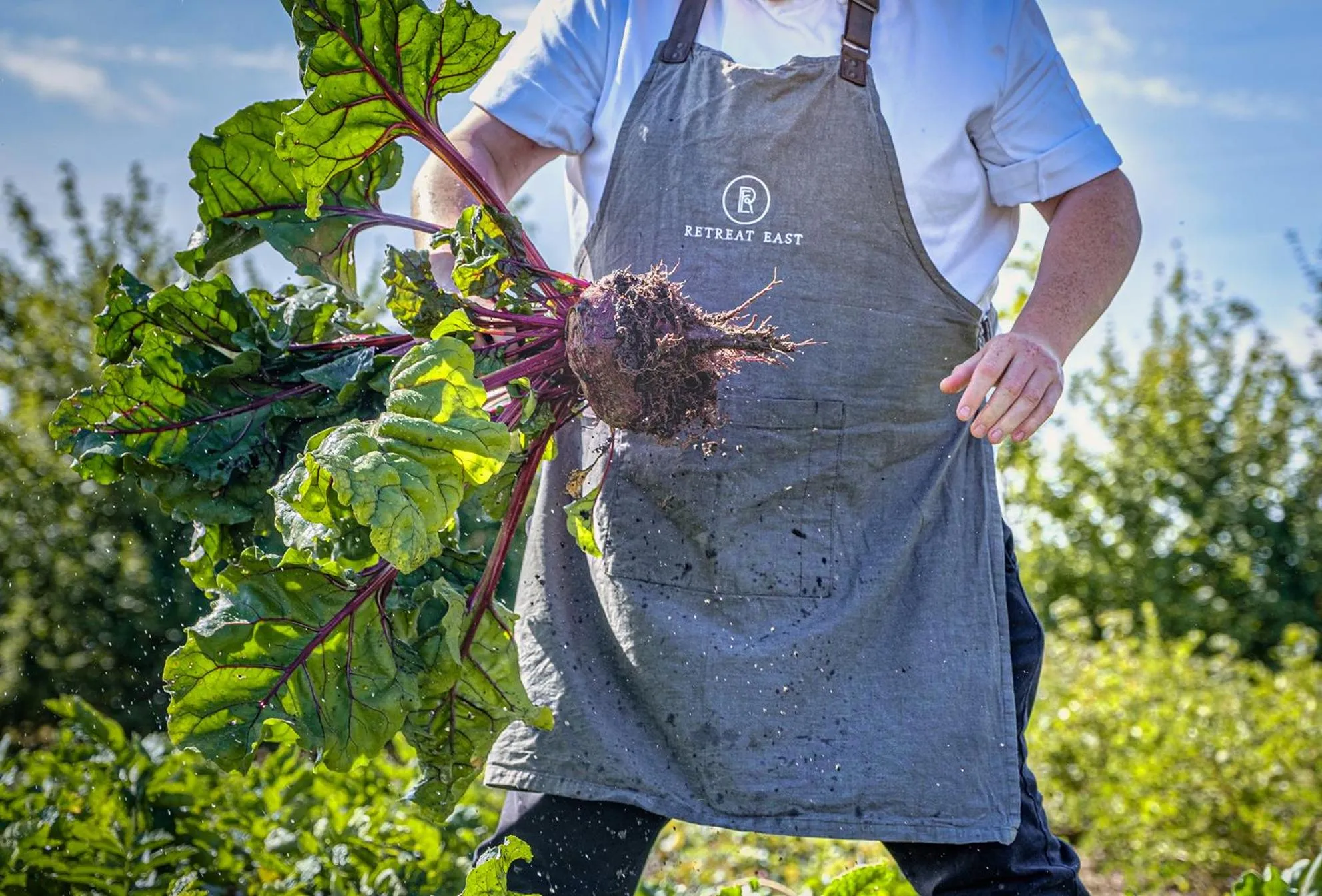 Natural landscape in Retreat East