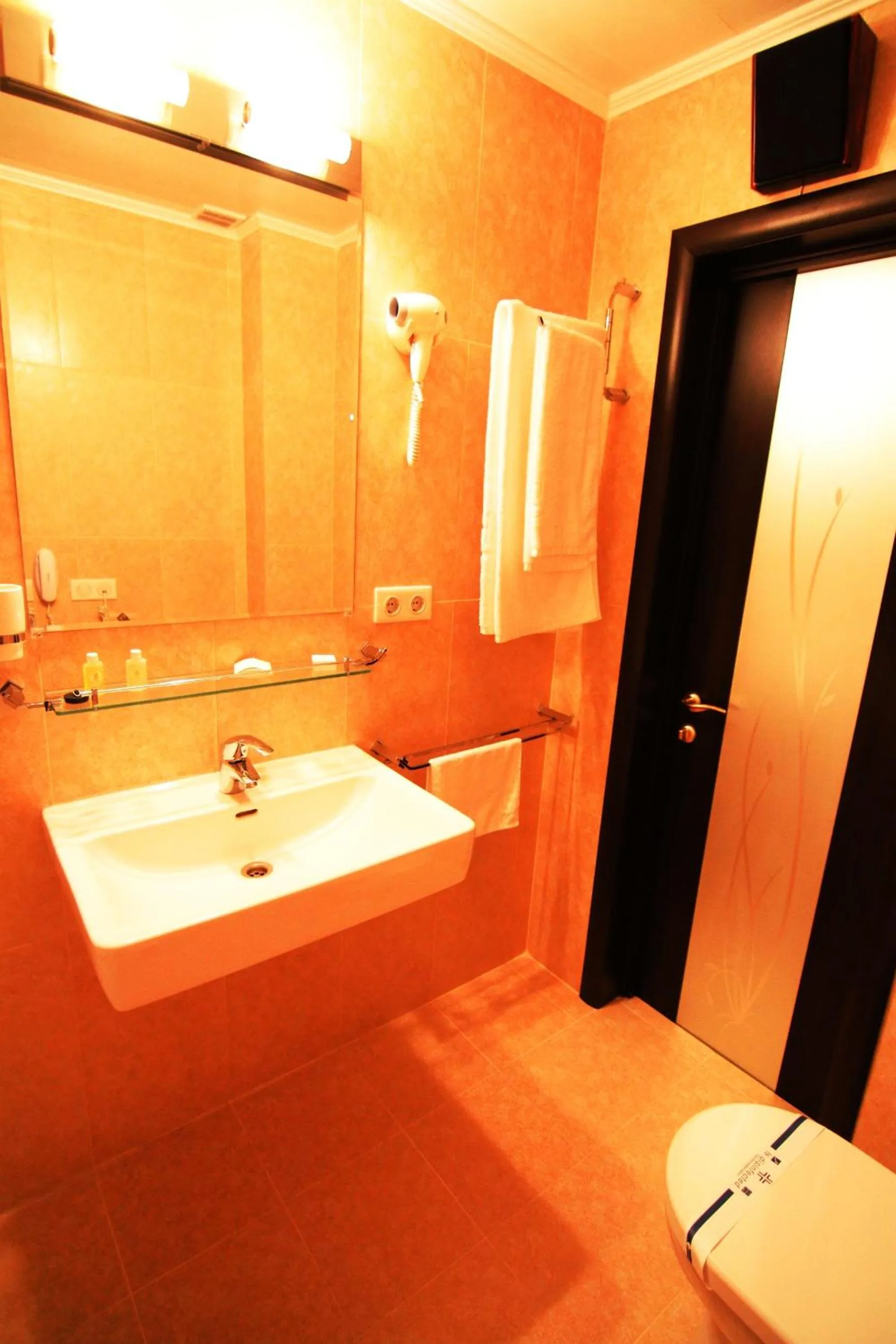 Bathroom in Britaniya