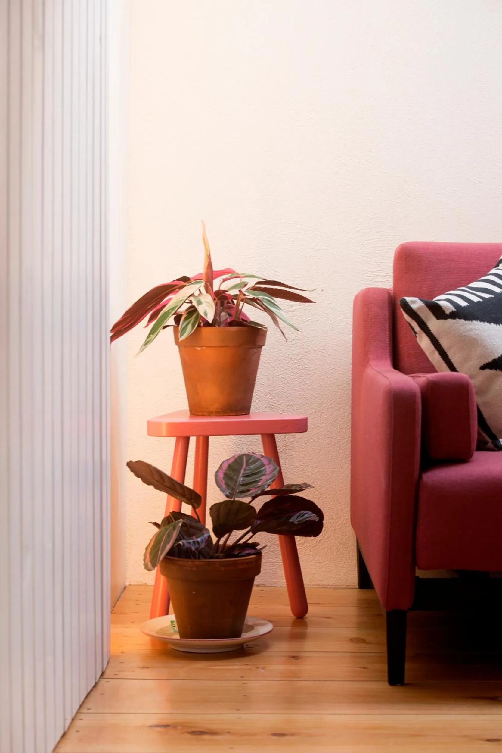 Living room in Patio São Vicente