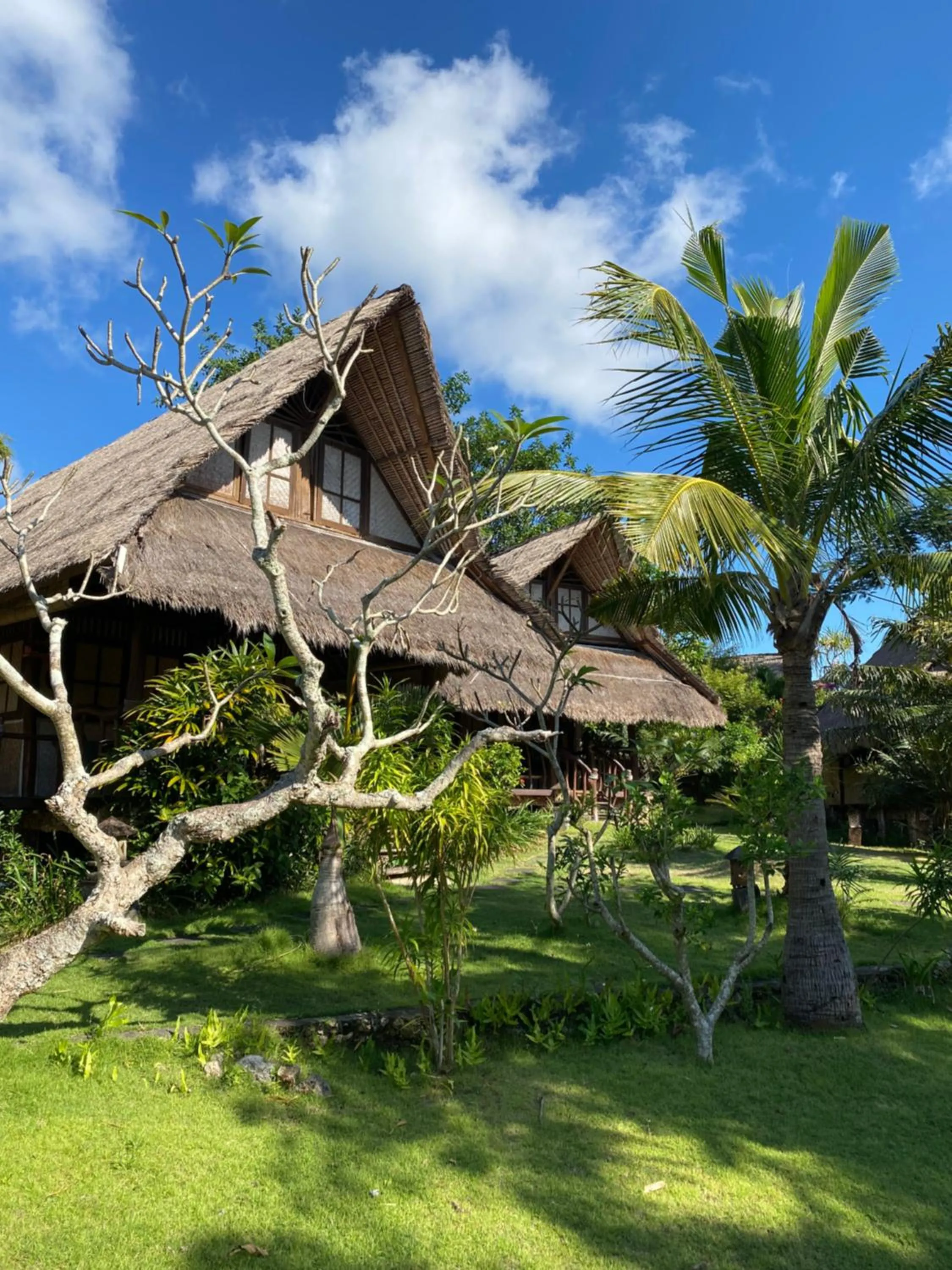 Flower Bud Bungalow Balangan