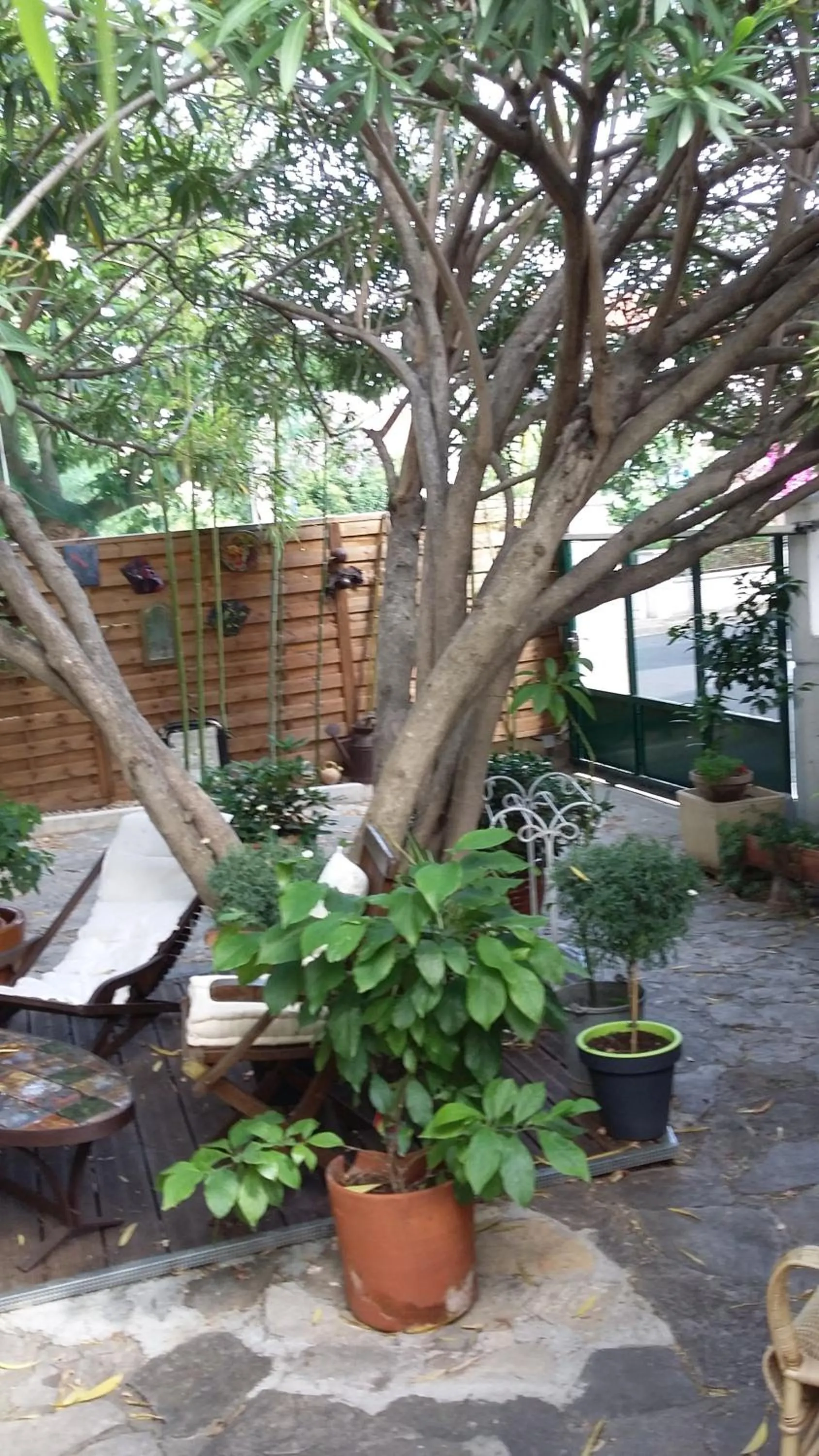 Balcony/Terrace in Cielito Lindo