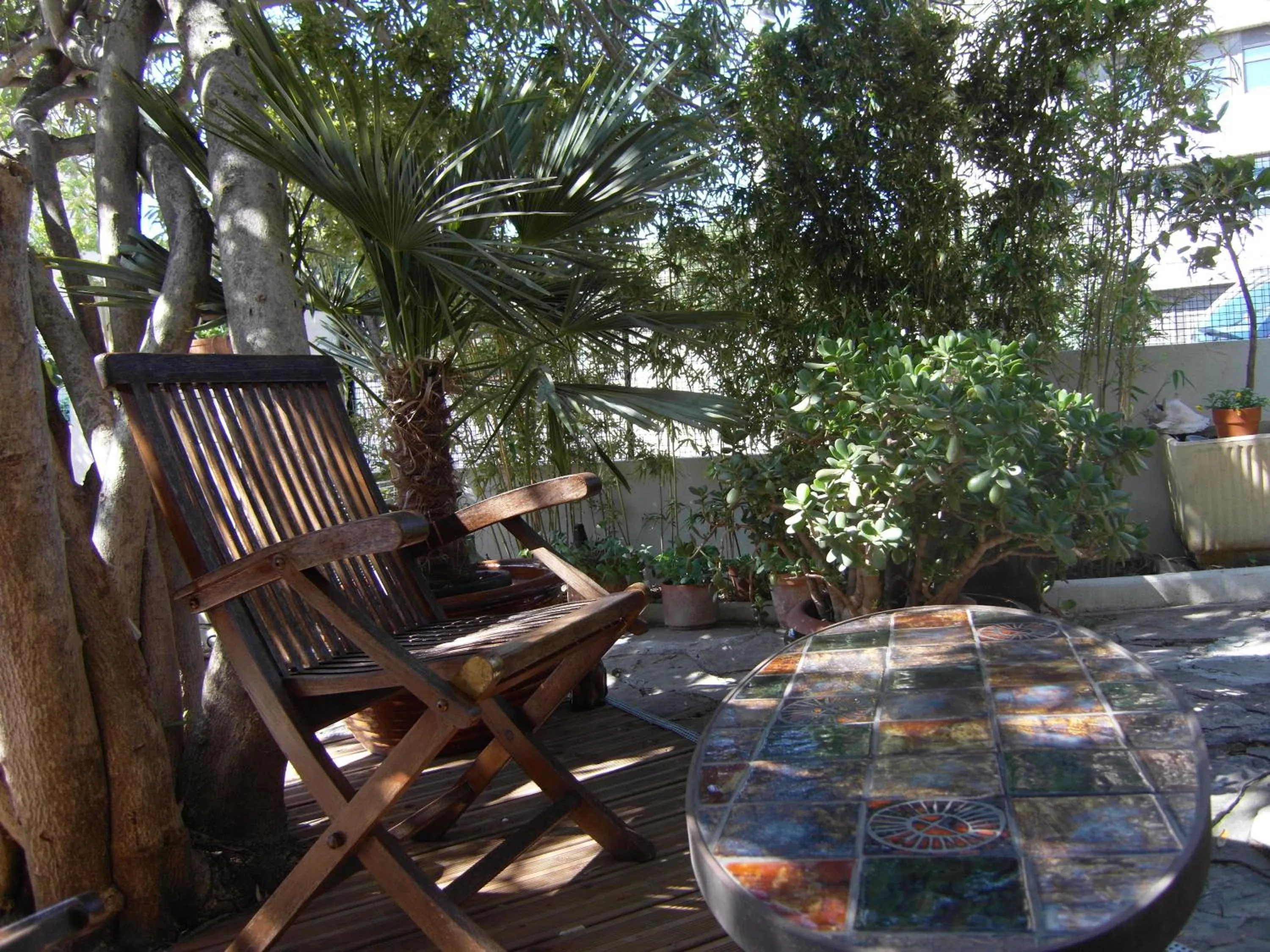 Garden in Cielito Lindo