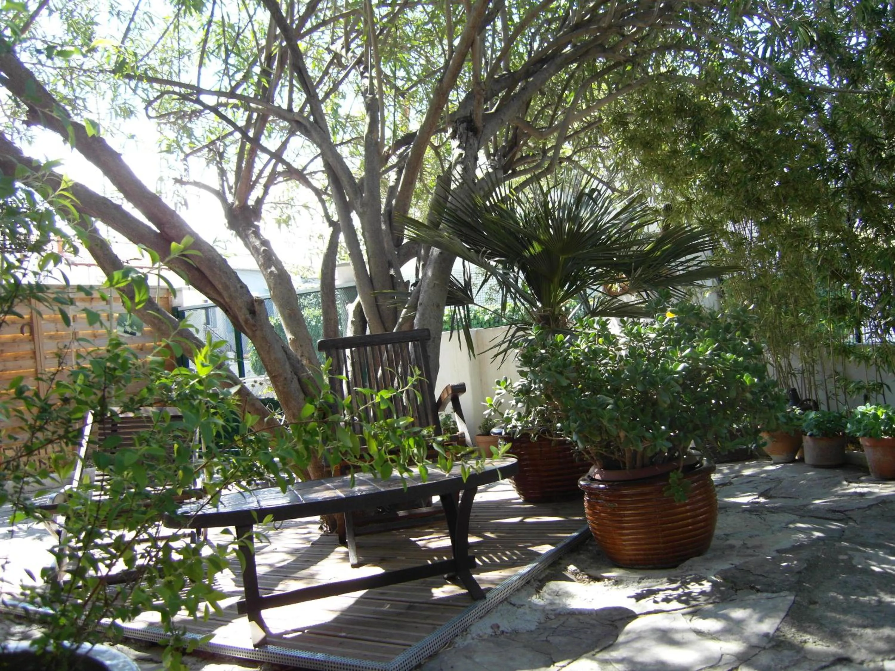 Garden in Cielito Lindo