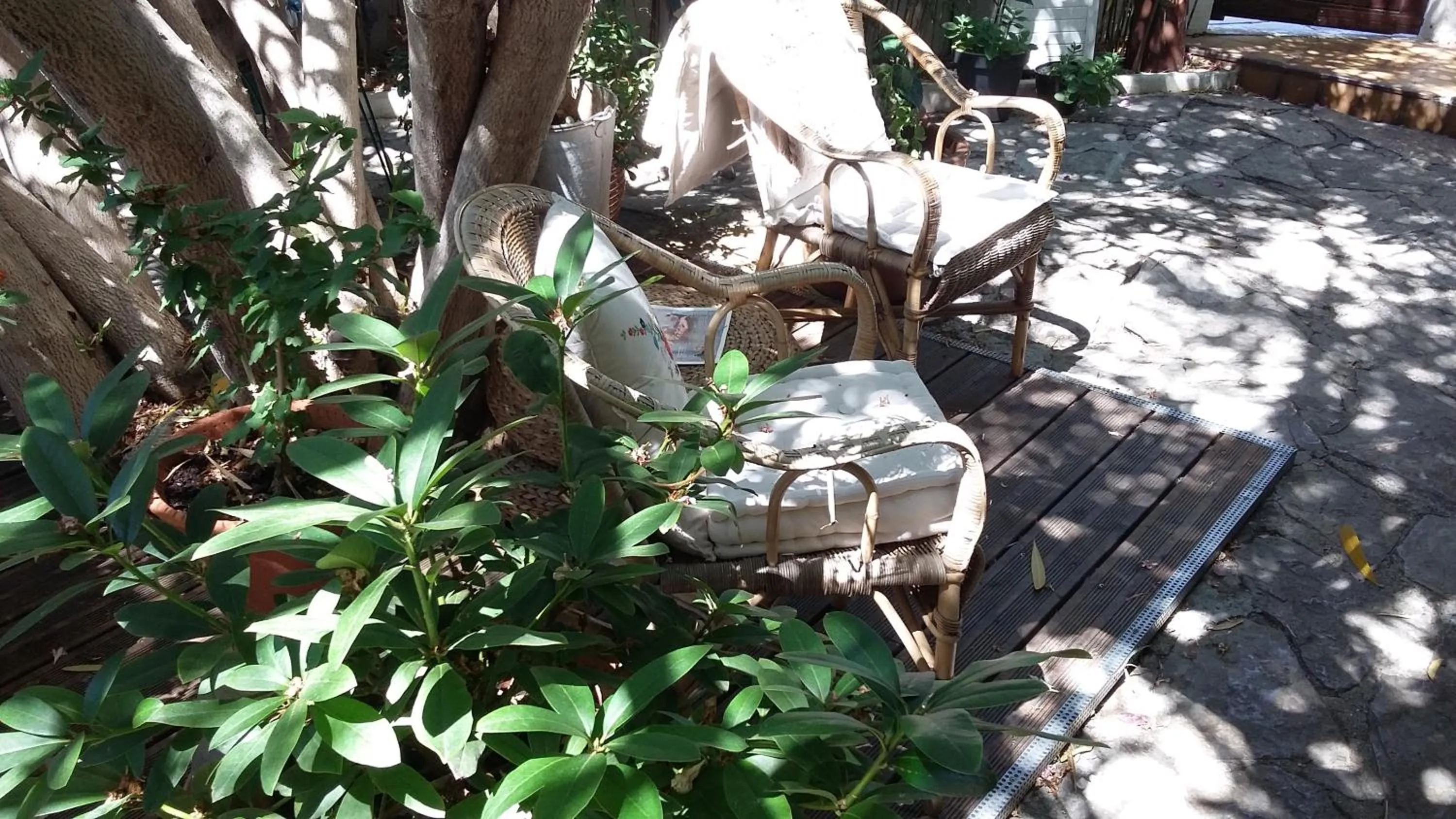 Garden in Cielito Lindo