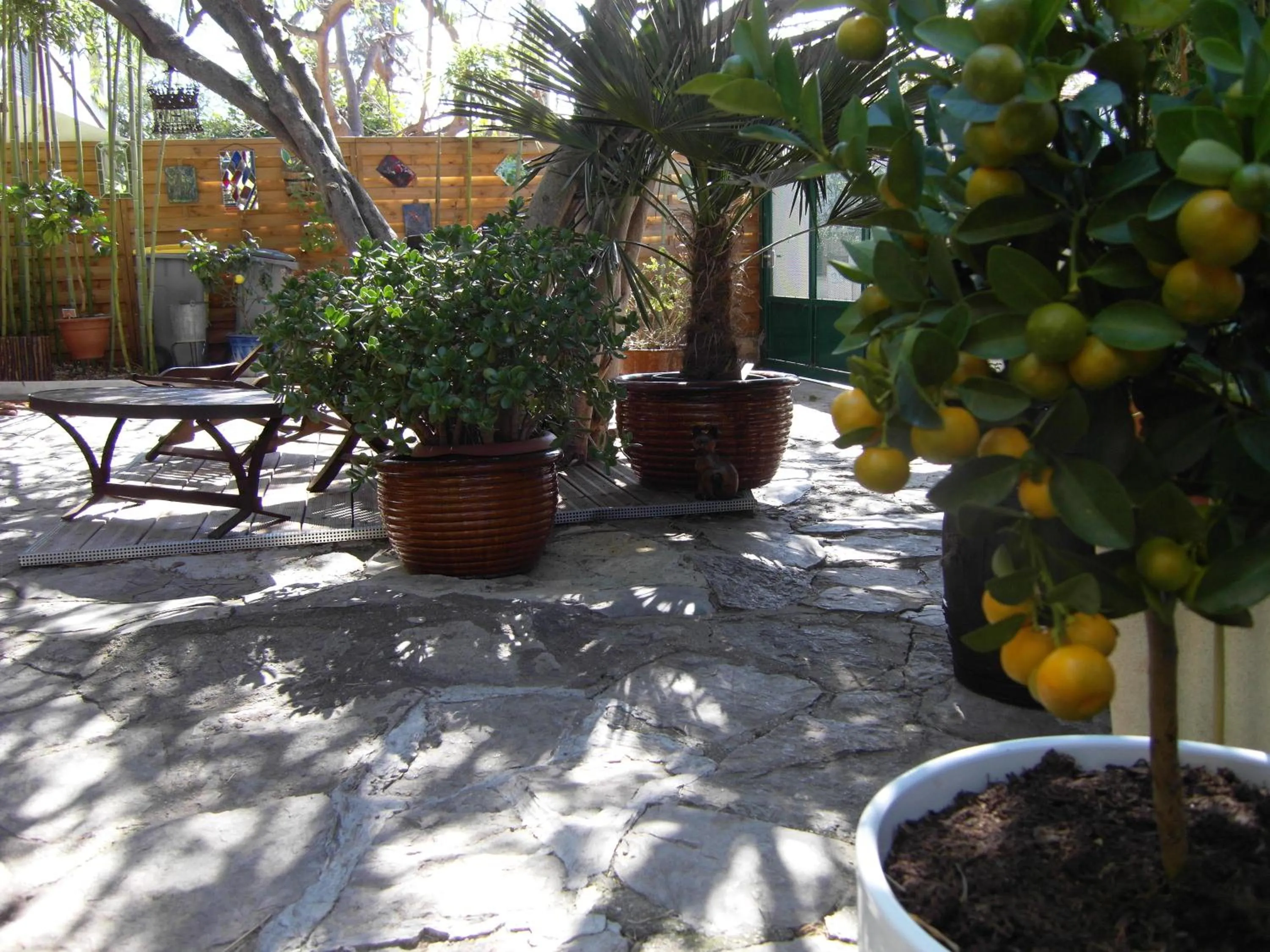 Garden in Cielito Lindo