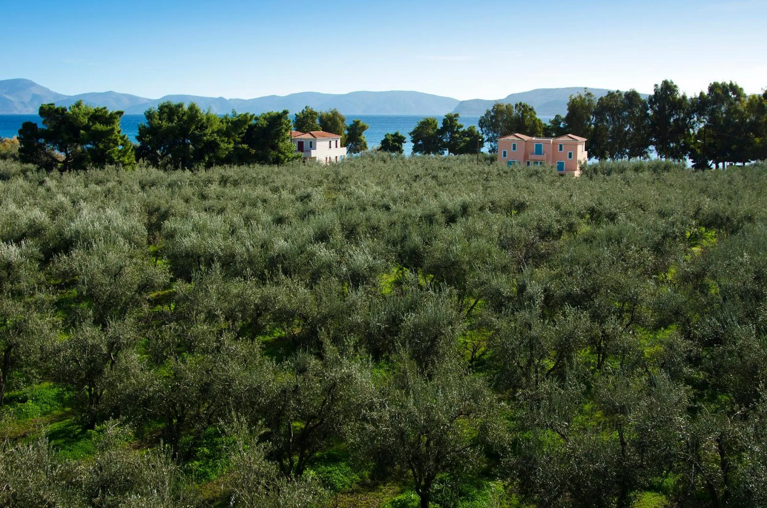 Facade/entrance in Makis Inn Resort