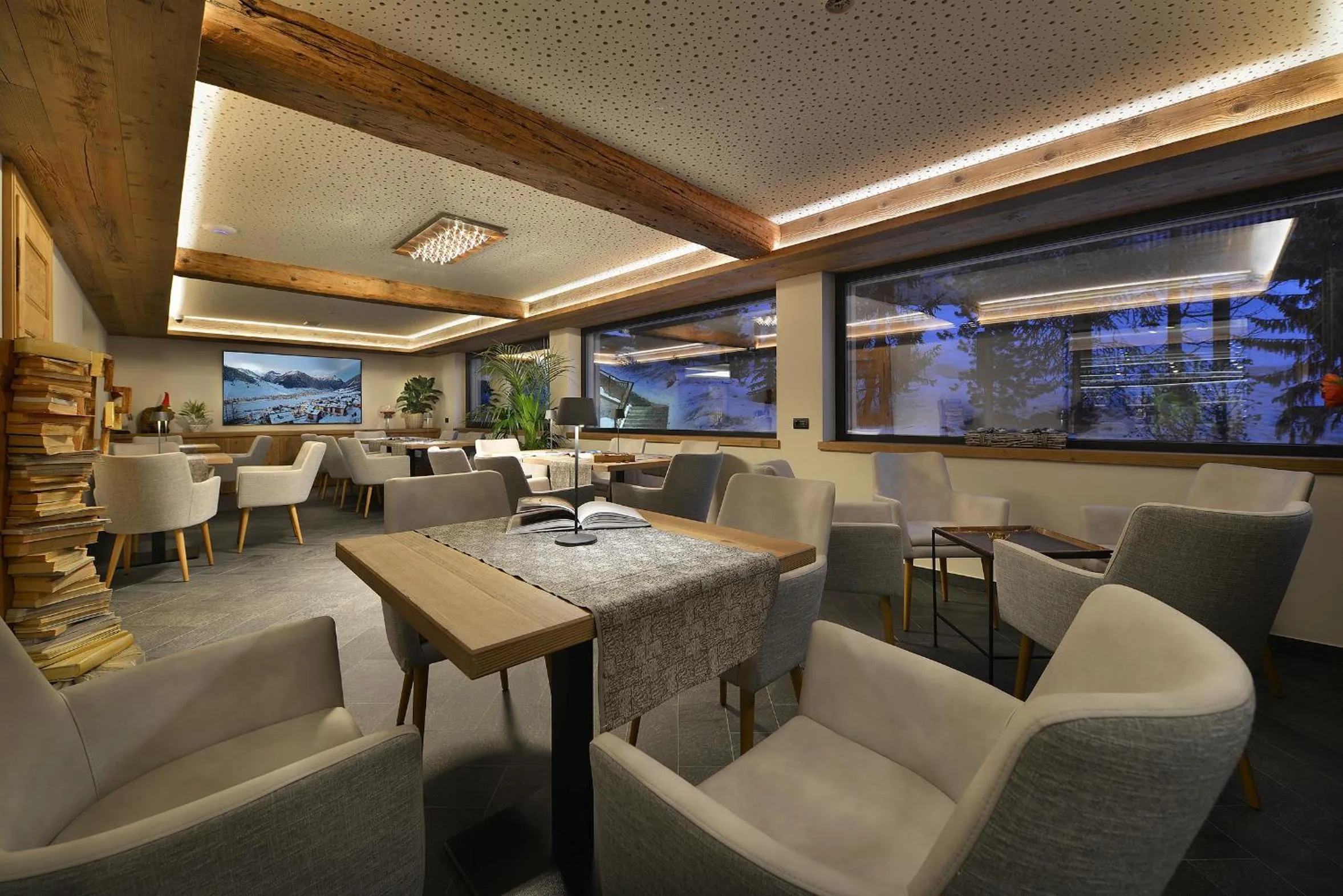 Library in Hotel Bucaneve