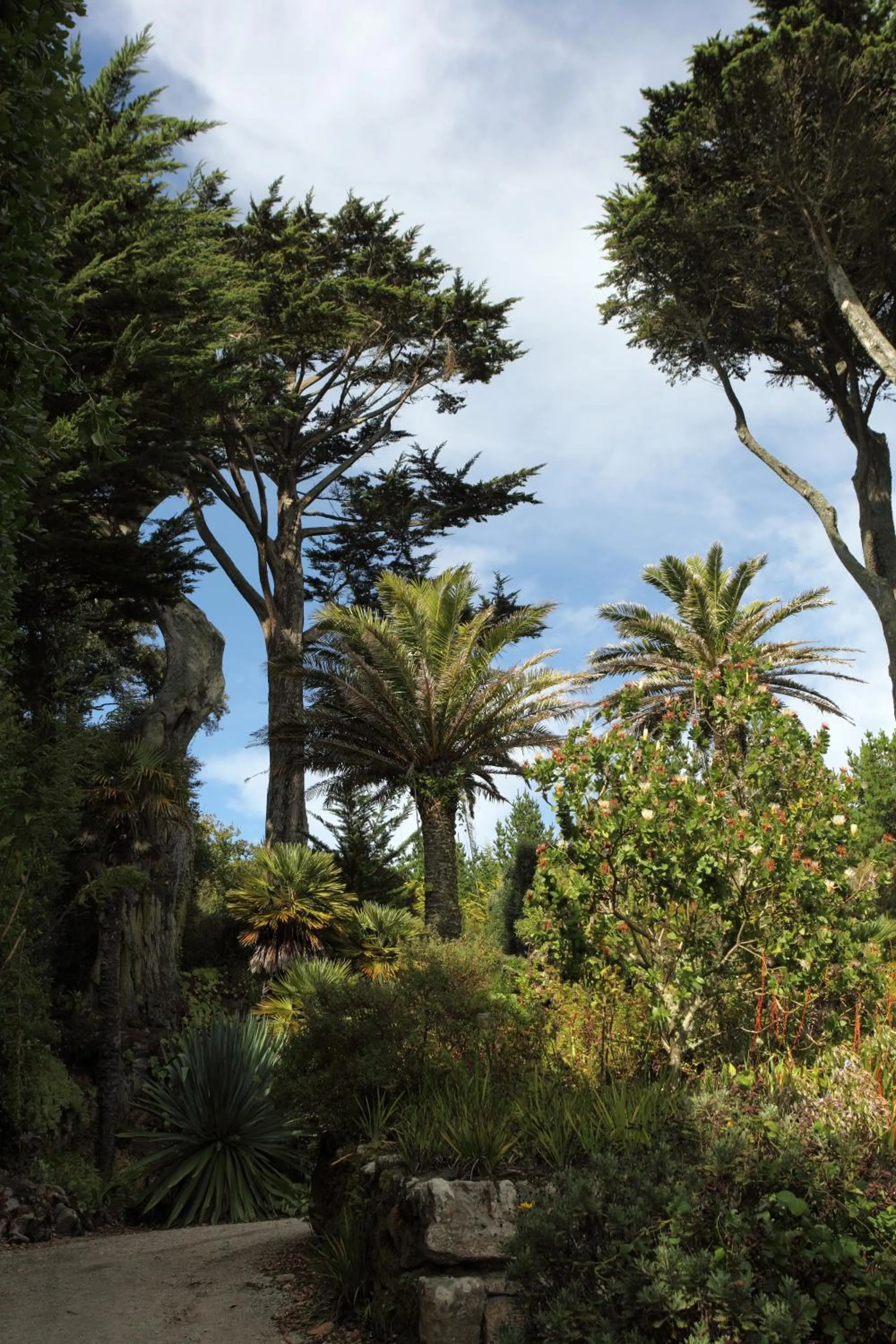 Area and facilities in The Atlantic