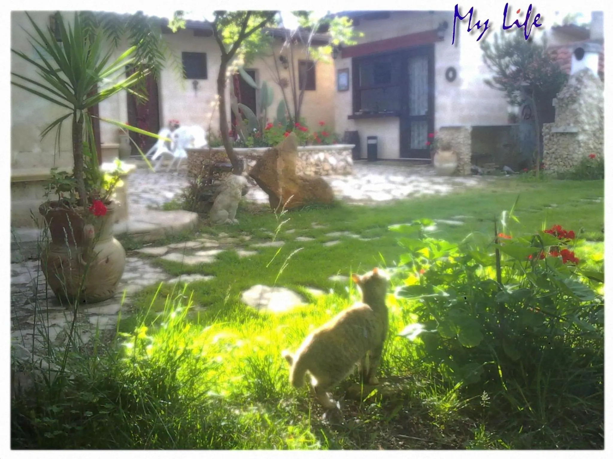 MyLife B&B Country House