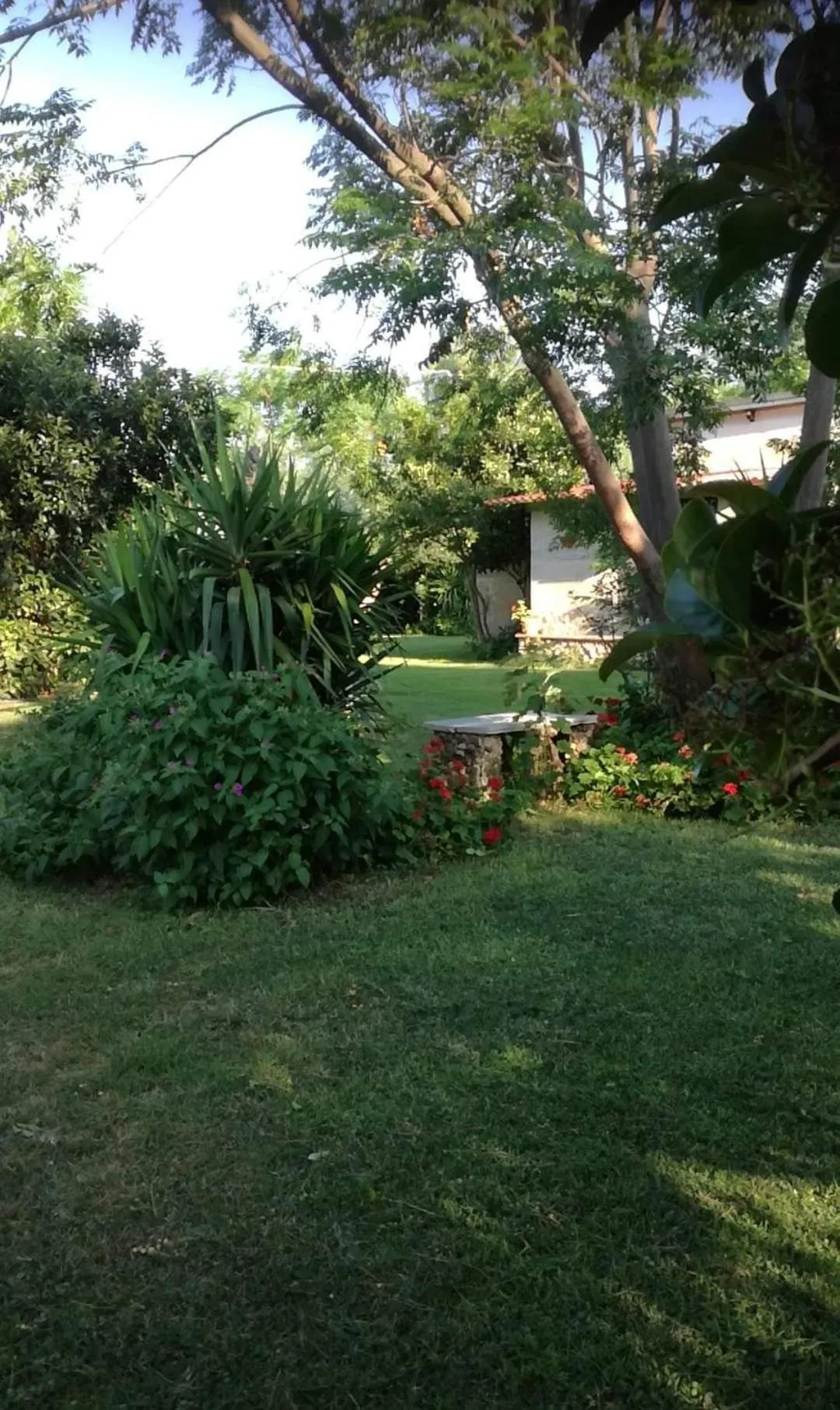 MyLife B&B Country House