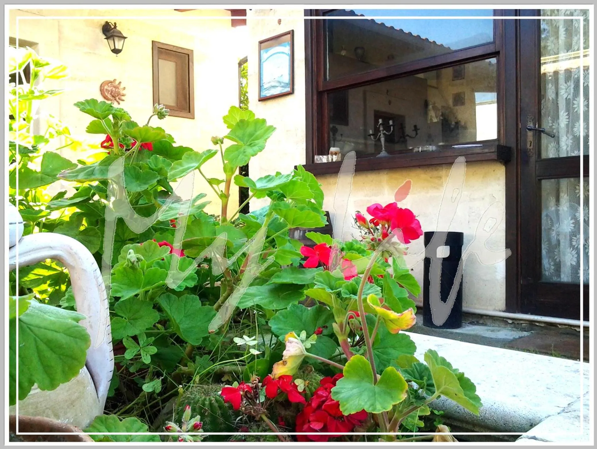 MyLife B&B Country House