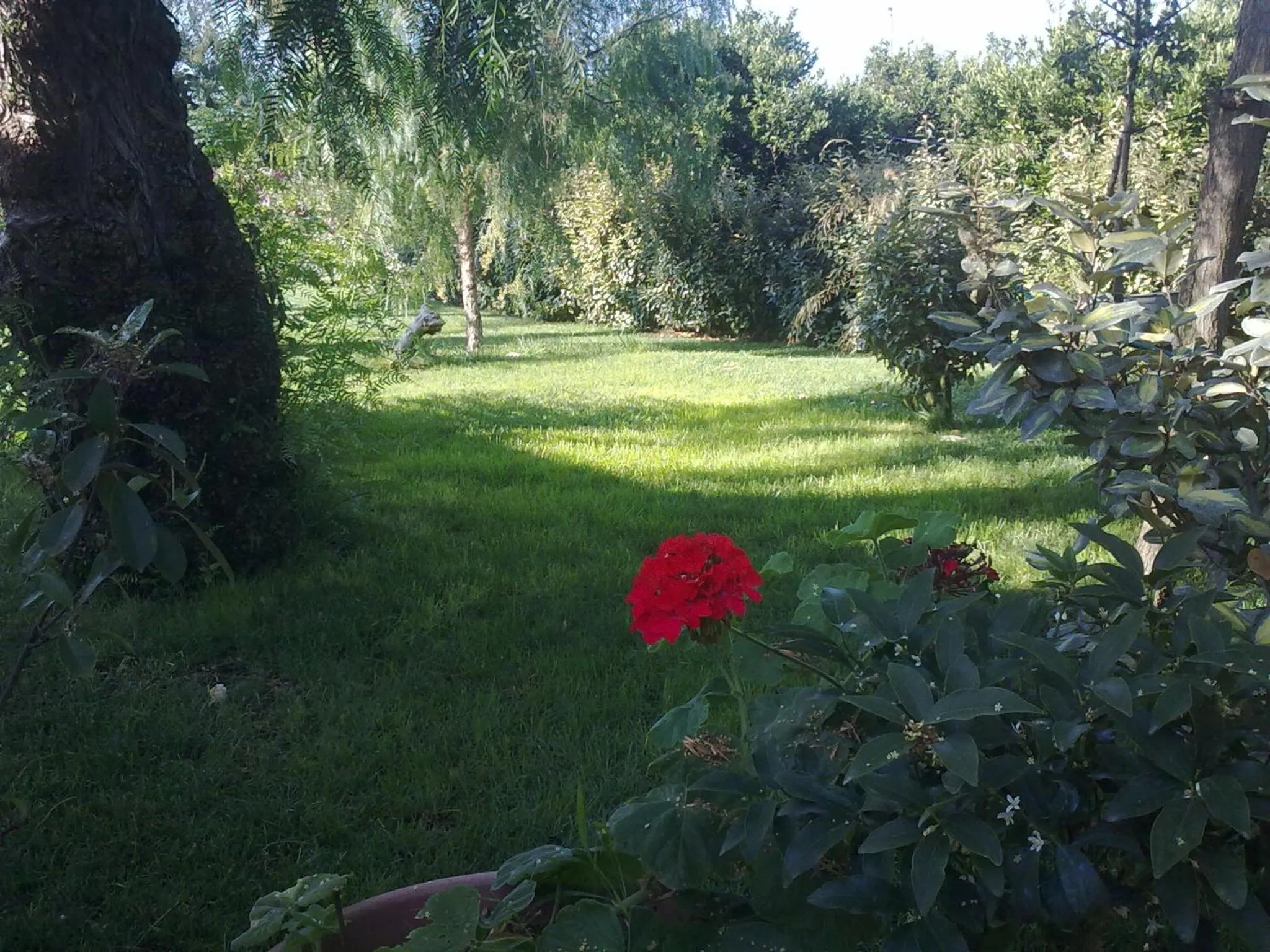 Property building in MyLife B&B Country House