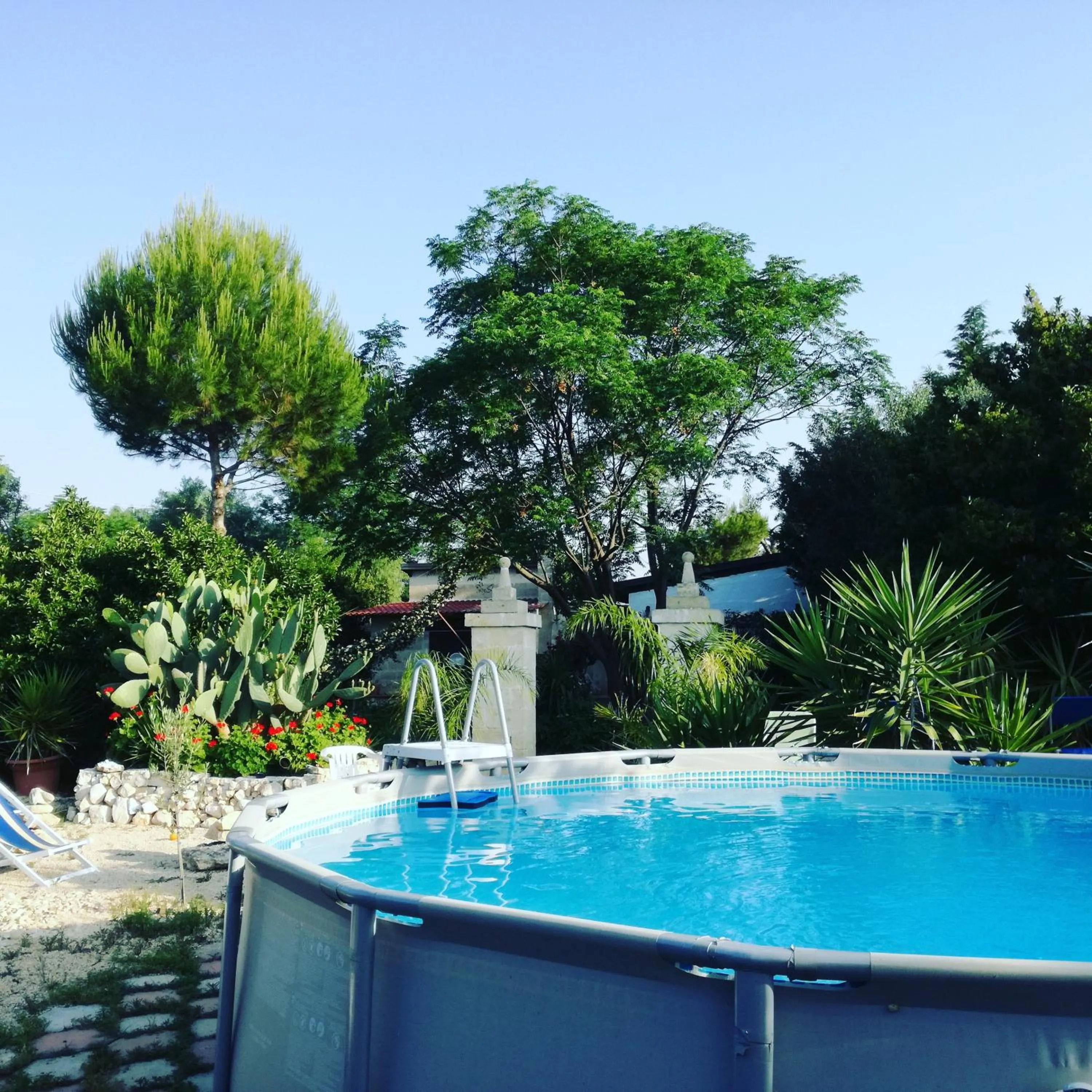 Swimming pool in MyLife B&B Country House