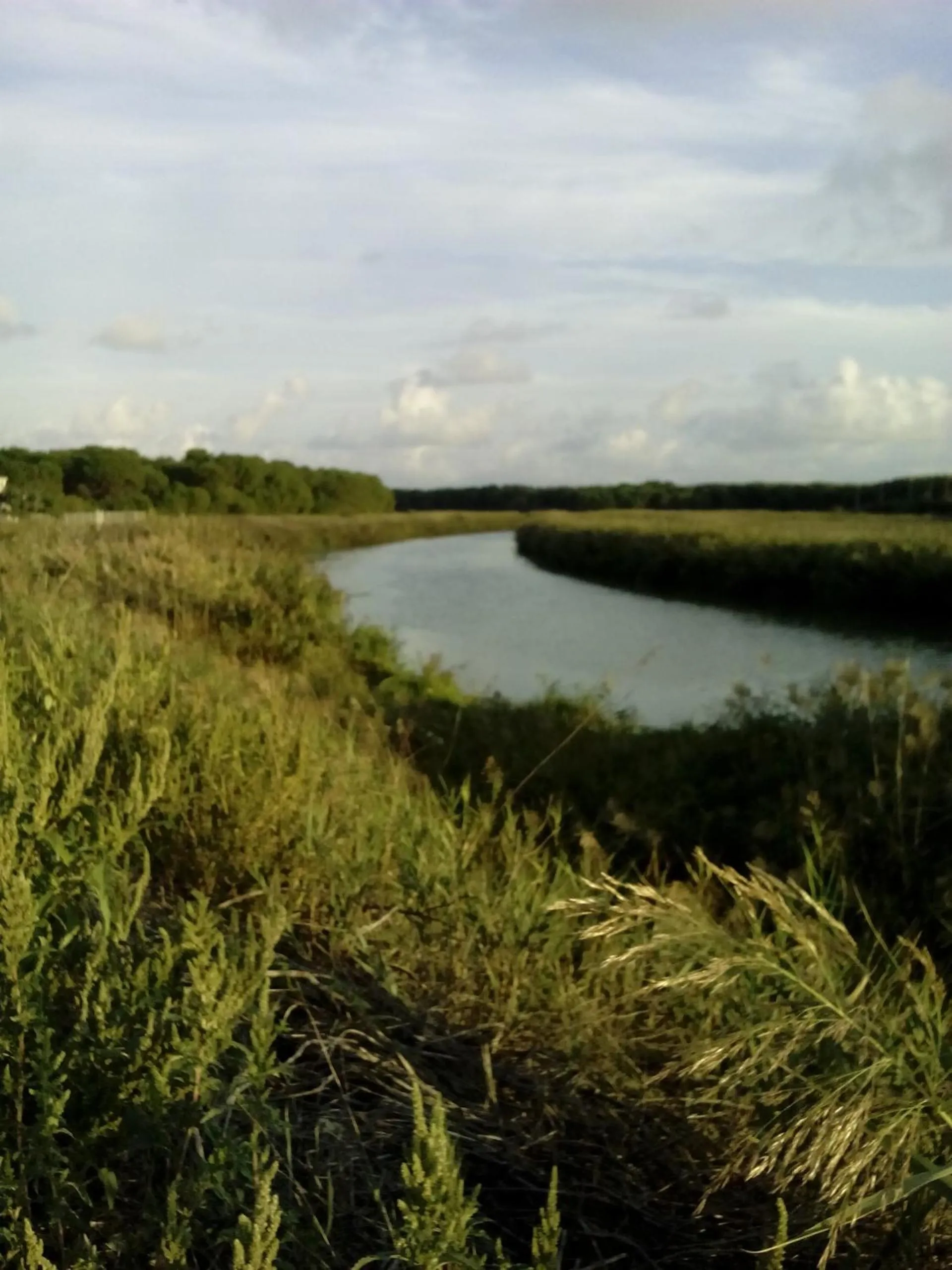 Off site in MyLife B&B Country House