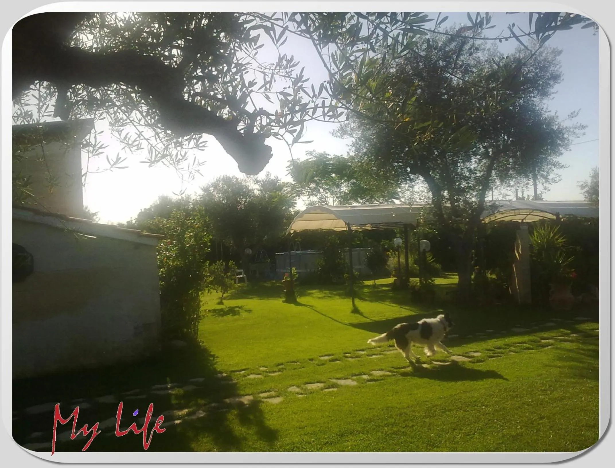 On site in MyLife B&B Country House