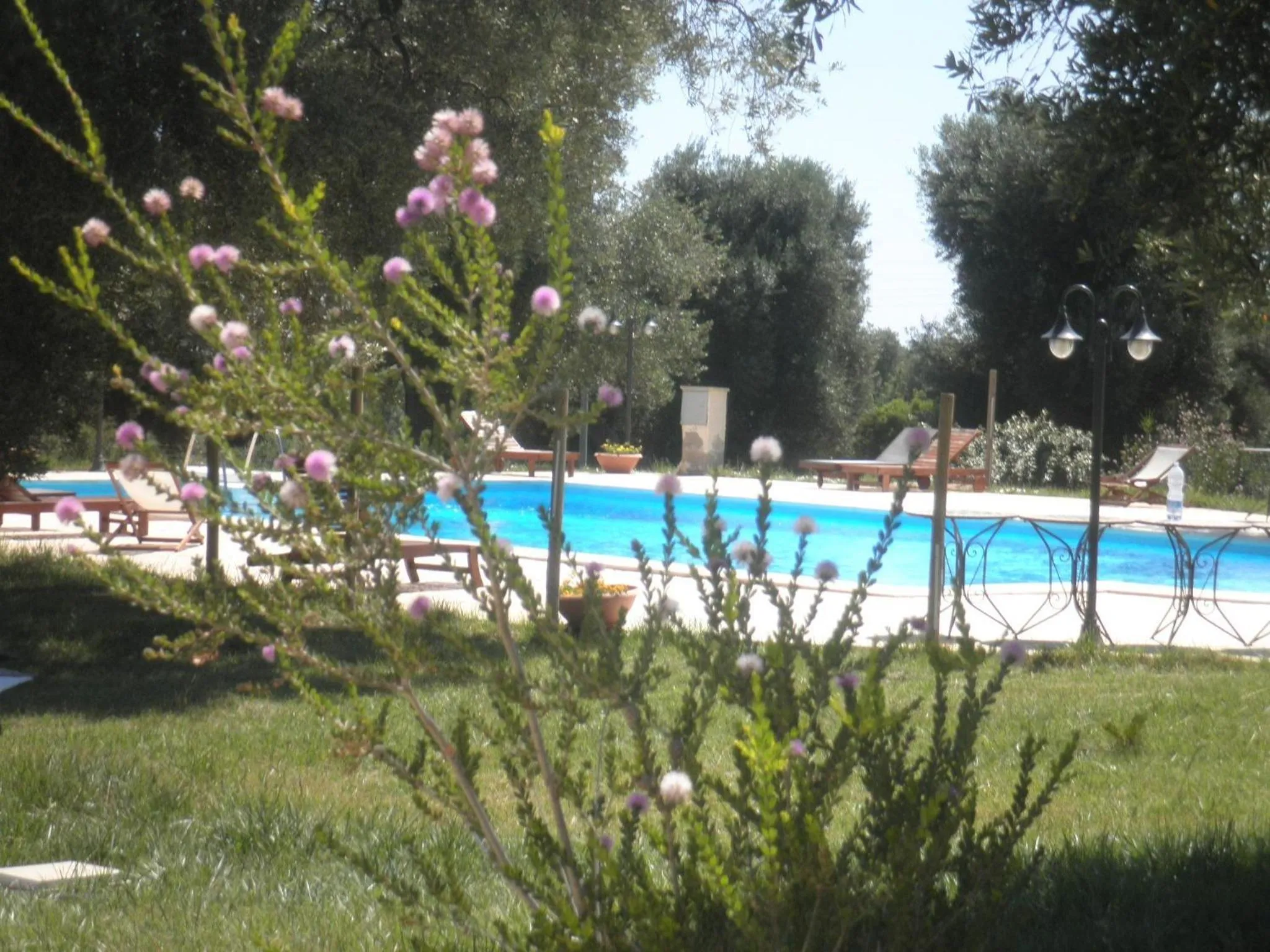 Swimming pool in La Vigna Vecchia