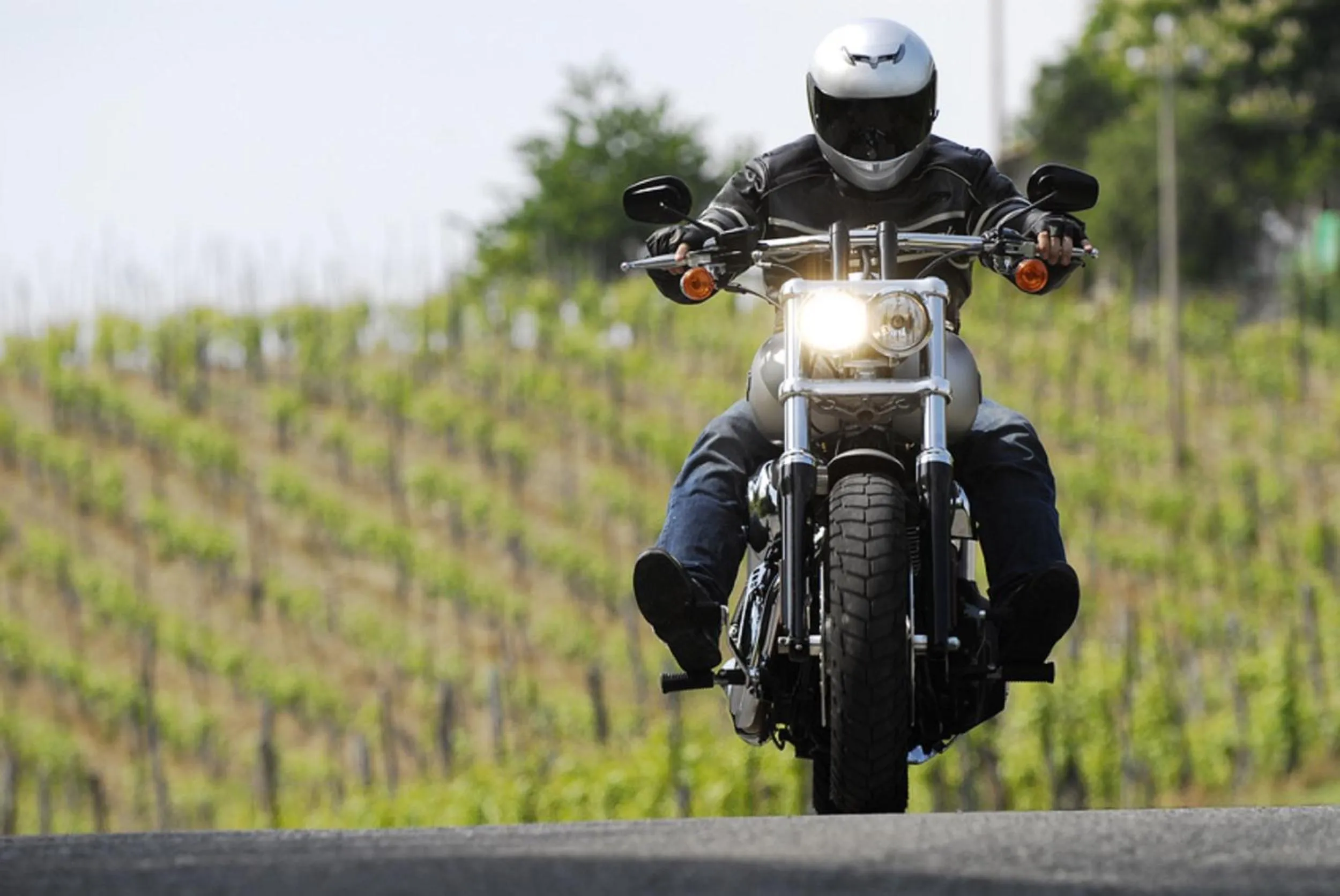 Activities in Moselstern Hotel Zum guten Onkel