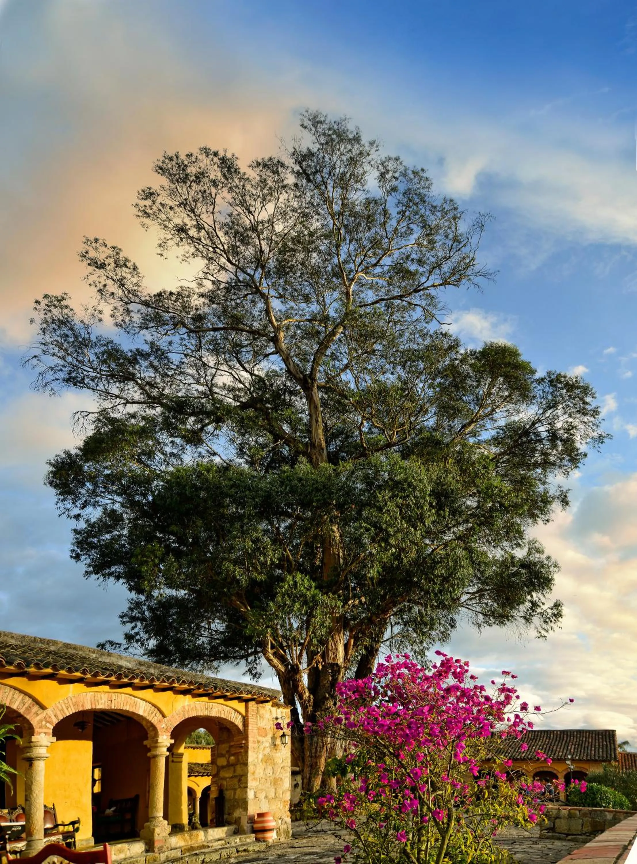 Hotel Hacienda El Salitre