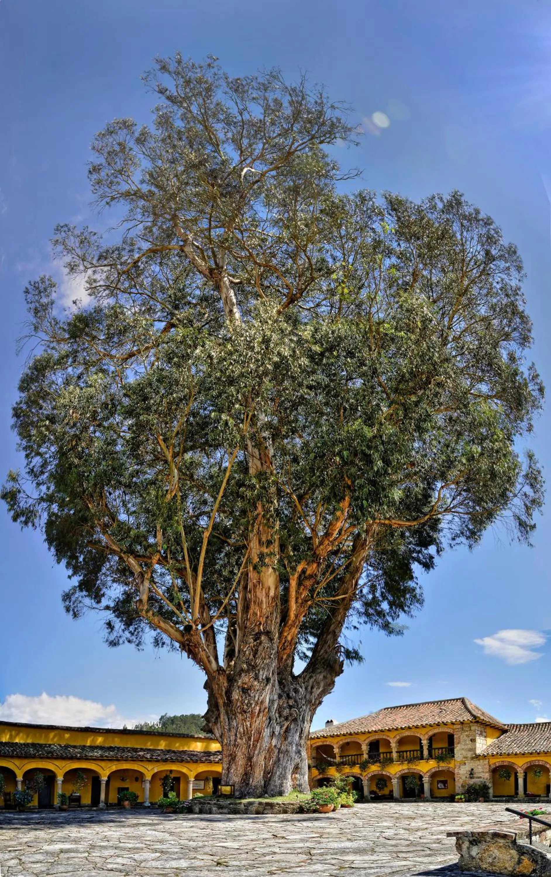Hotel Hacienda El Salitre