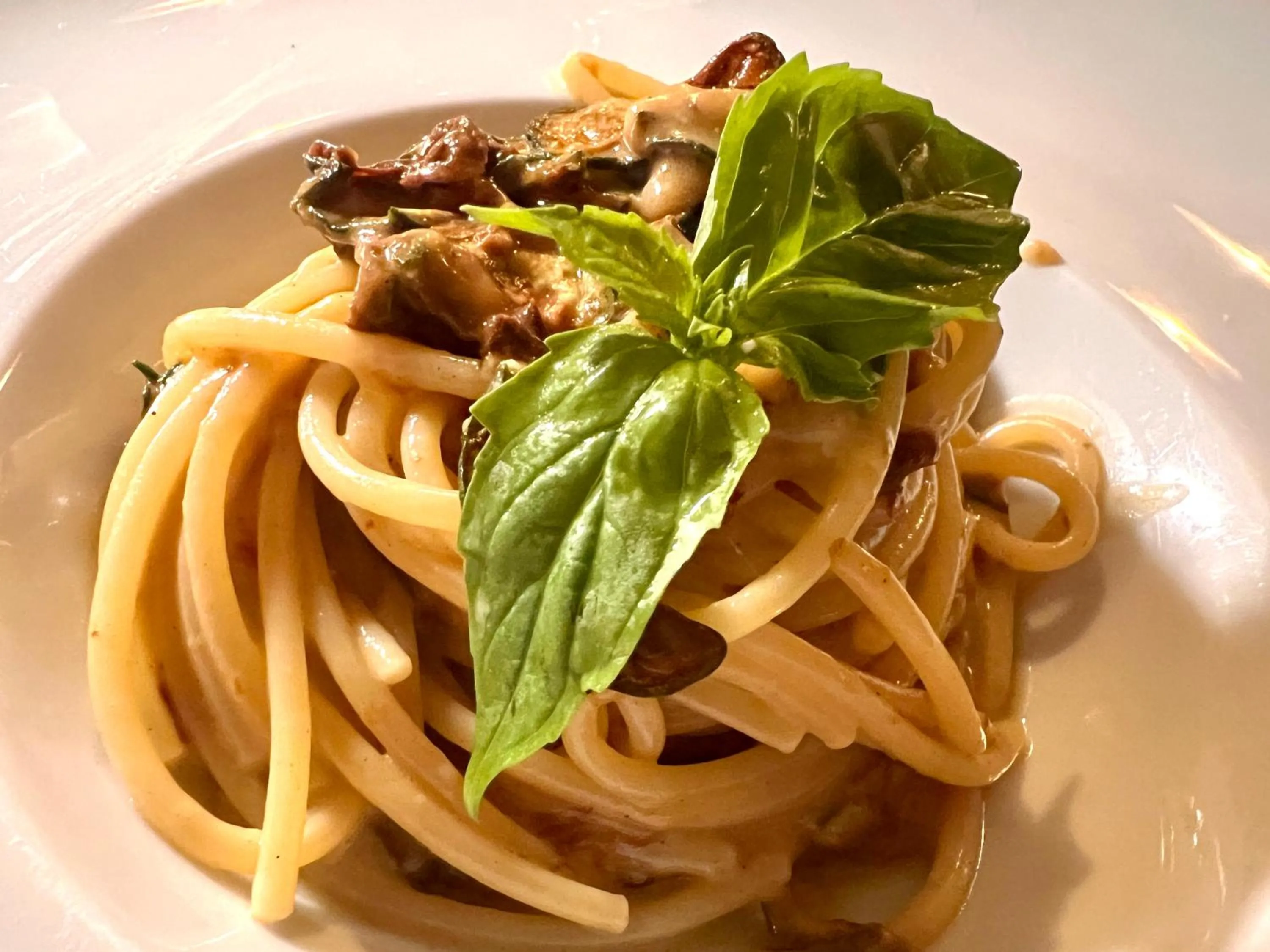 Restaurant/places to eat in Hotel Ortensia