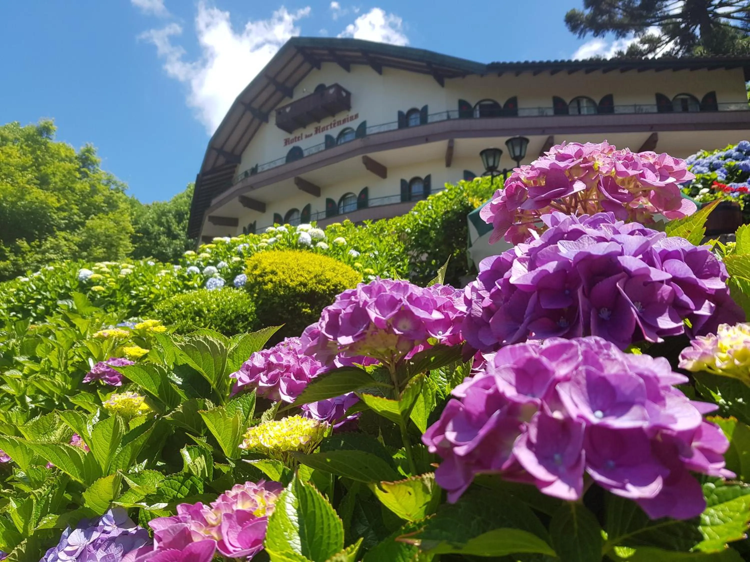 Property building in Hotel das Hortênsias