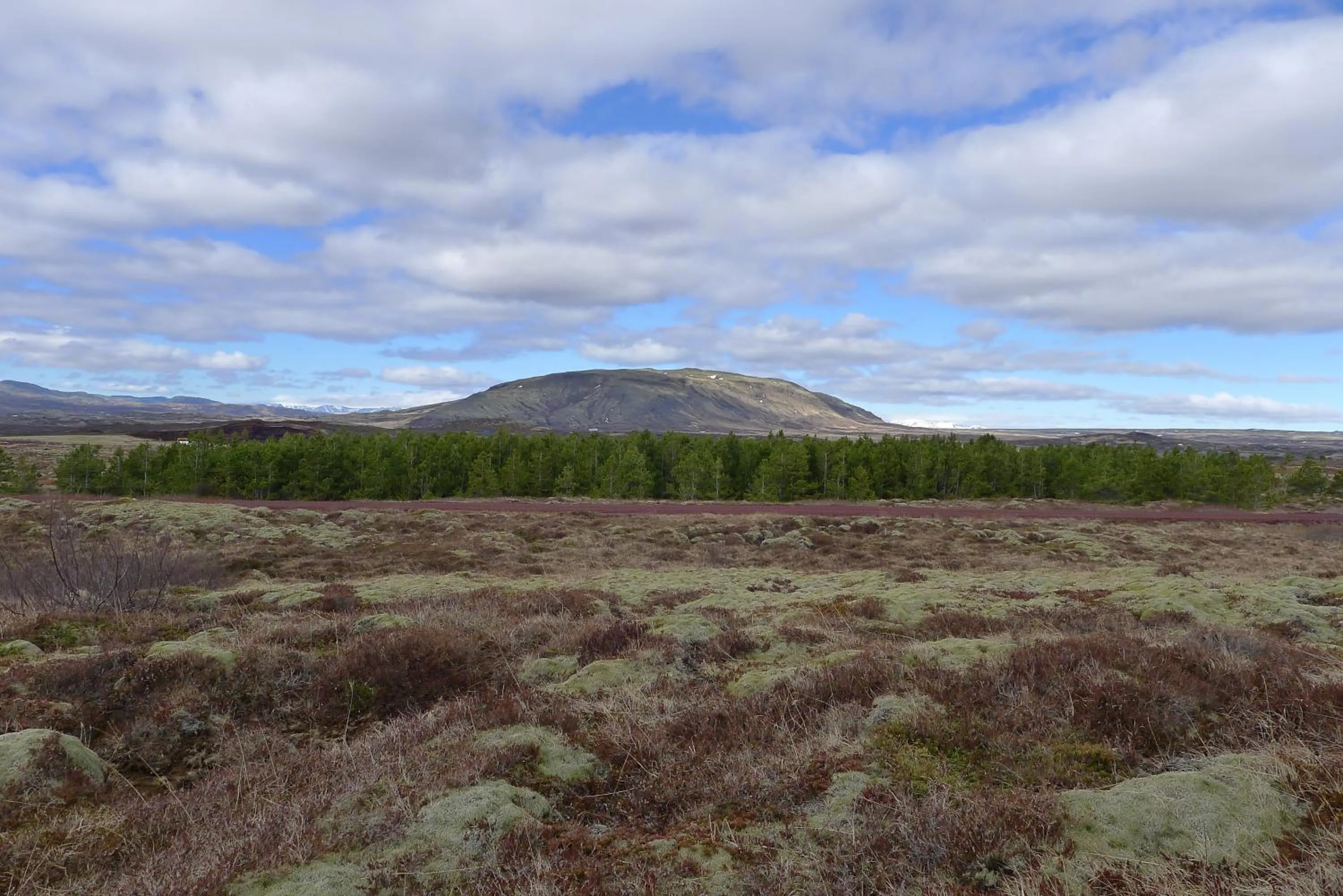 Kerbyggd: Luxury house and cottage in golden circle