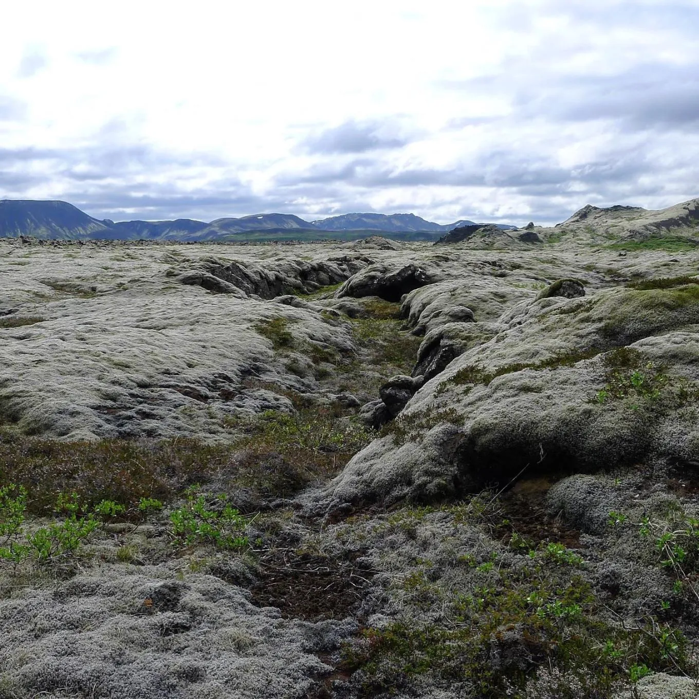 Kerbyggd: Luxury house and cottage in golden circle