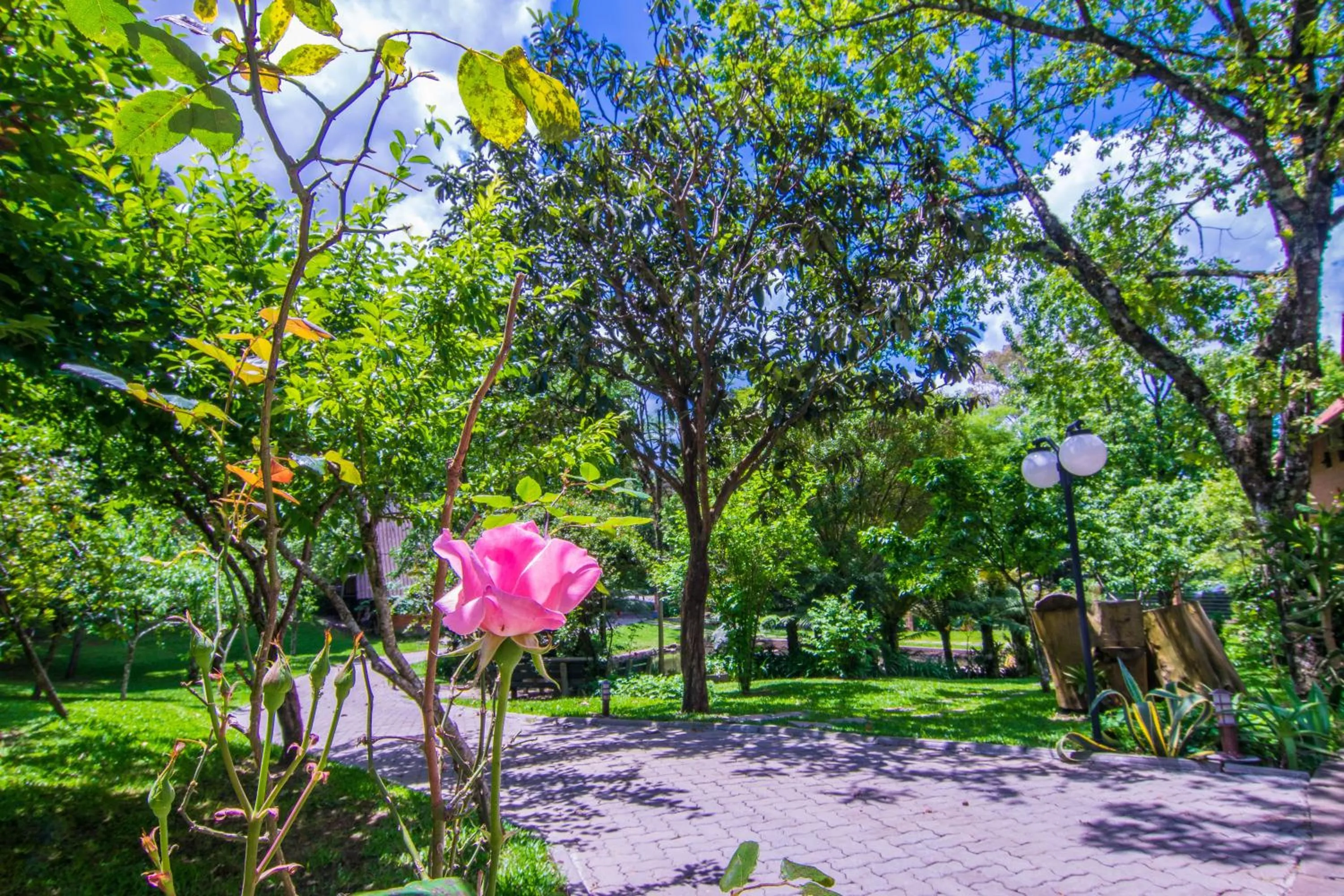 Garden in Hotel Azaleia