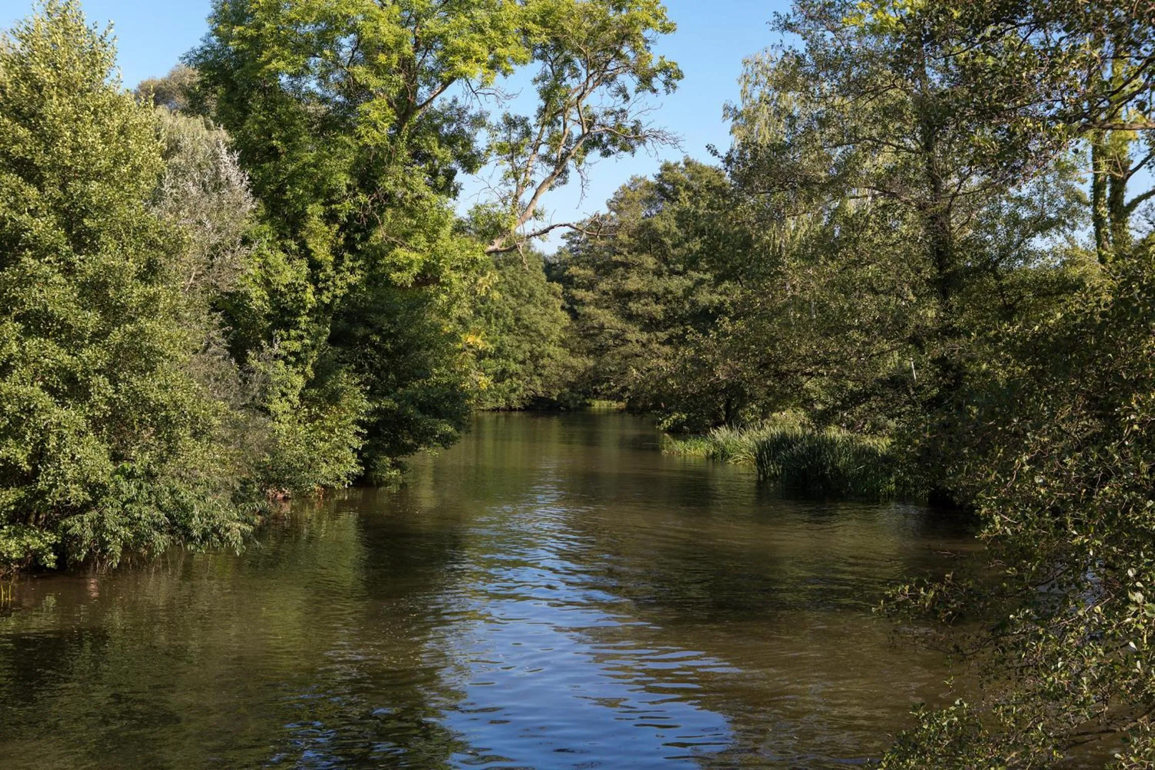 Natural landscape in Hotel Strandhaus - Boutique Resort & Spa