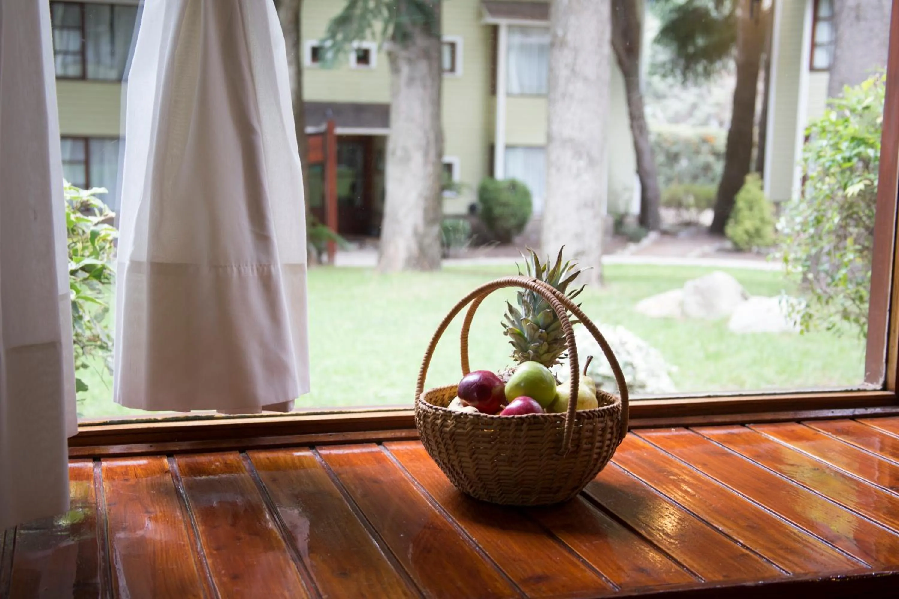 Garden view in Rincón de los Andes Resort