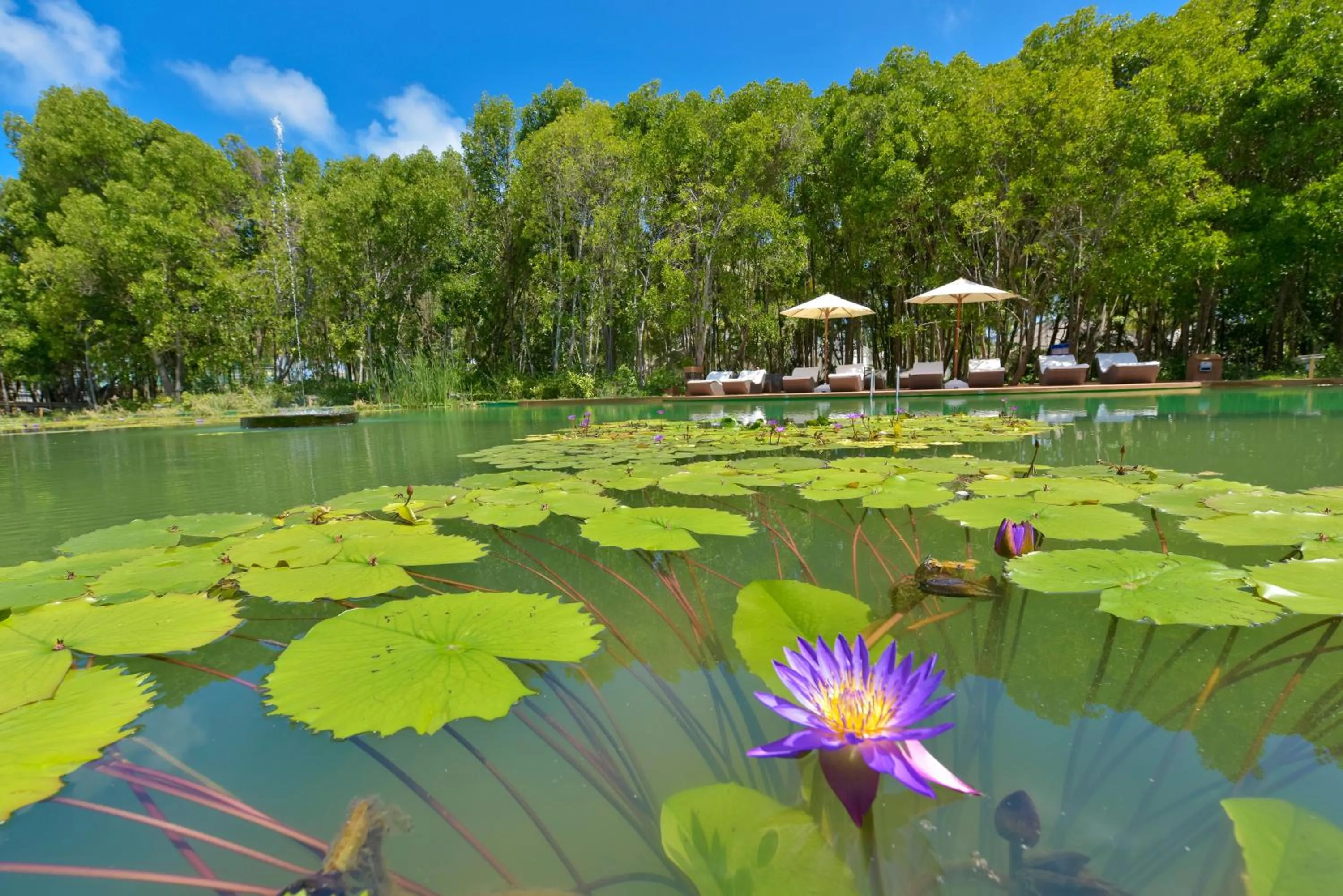 Decorative detail in Dreamland Maldives Resort